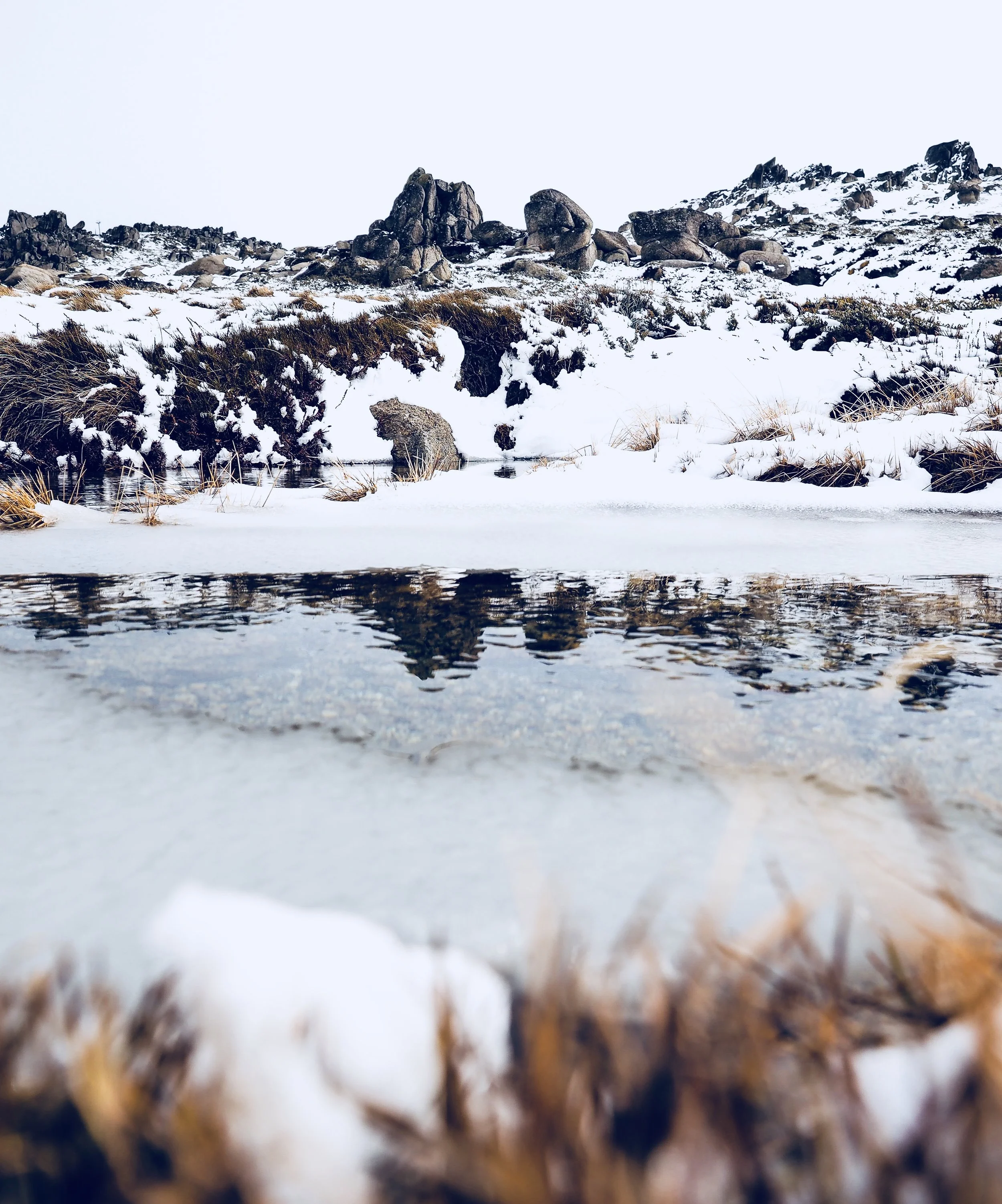 JewelszeeThredbo.jpg