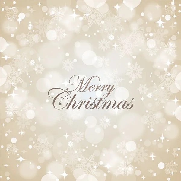 Lace Cosmetics wishes a very merry to you and yours. xoxo