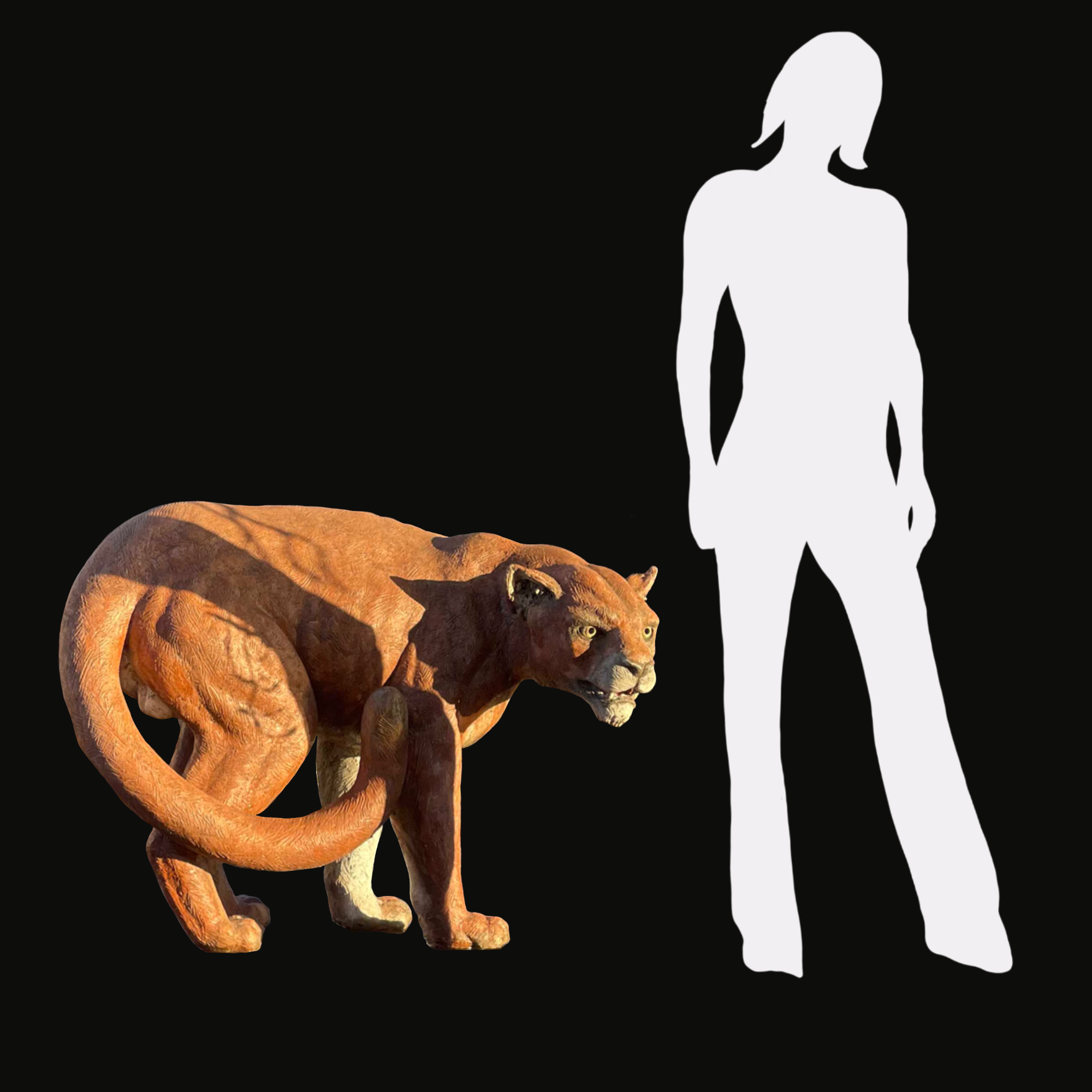 mtn lion w scale.png