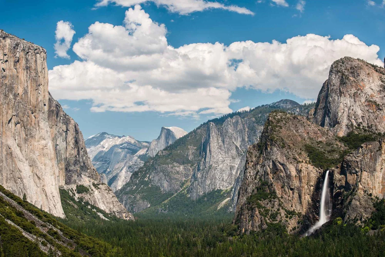Yosemite Valley Floor