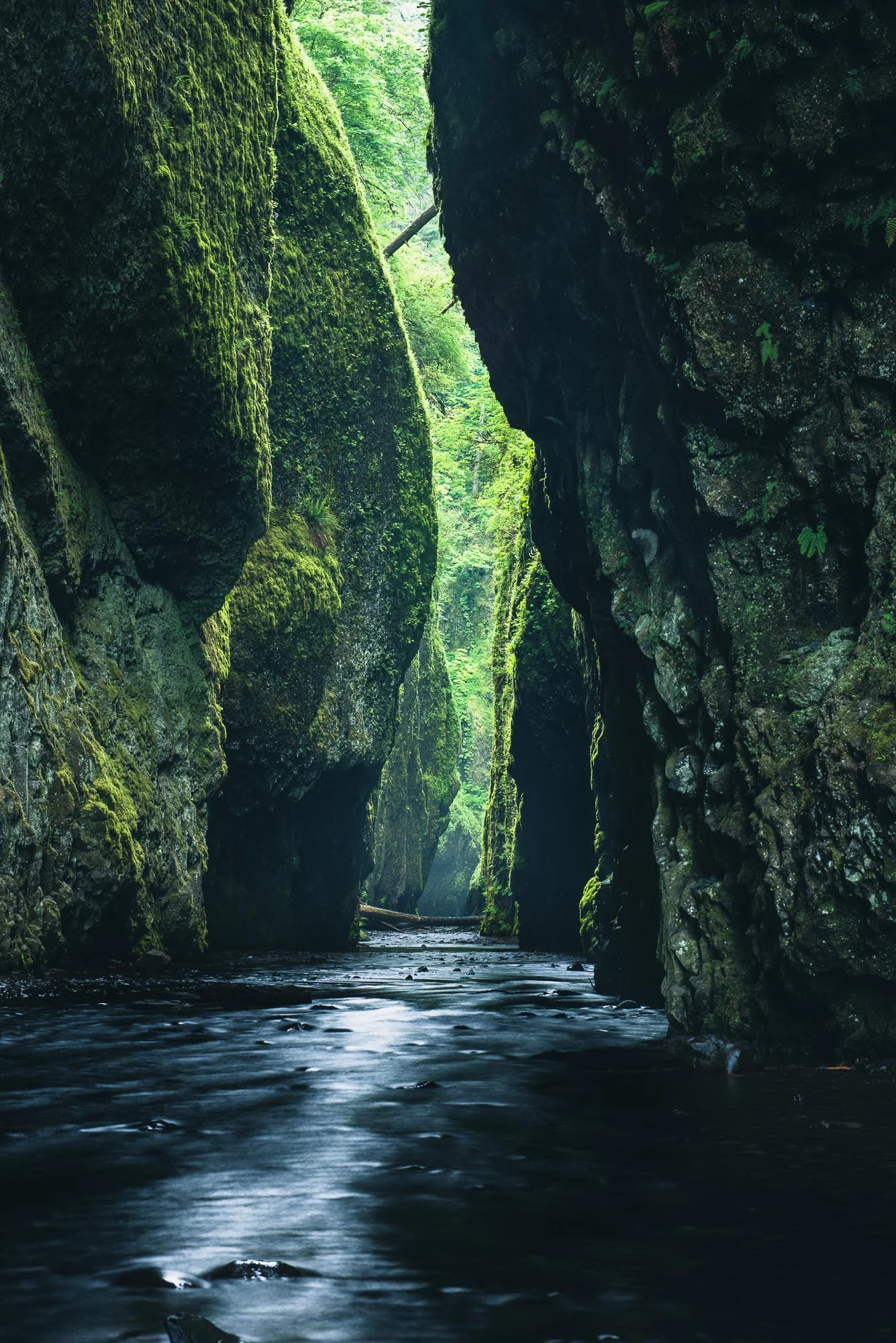 Oneonta Gorge