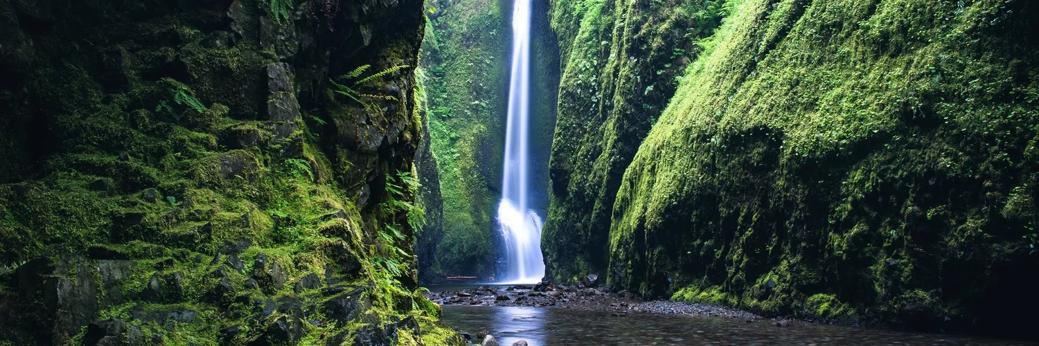 Oneonta Lower Falls 12"x36"