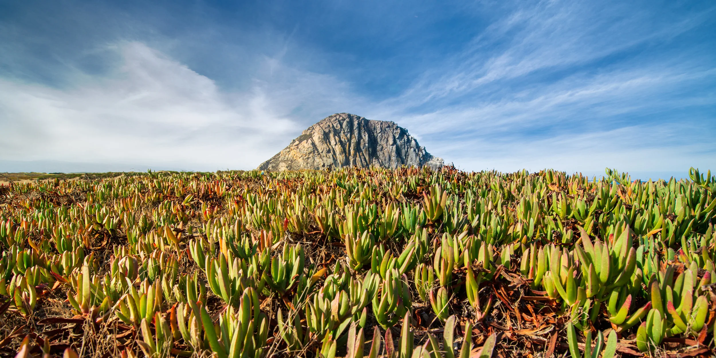 Morro Rock