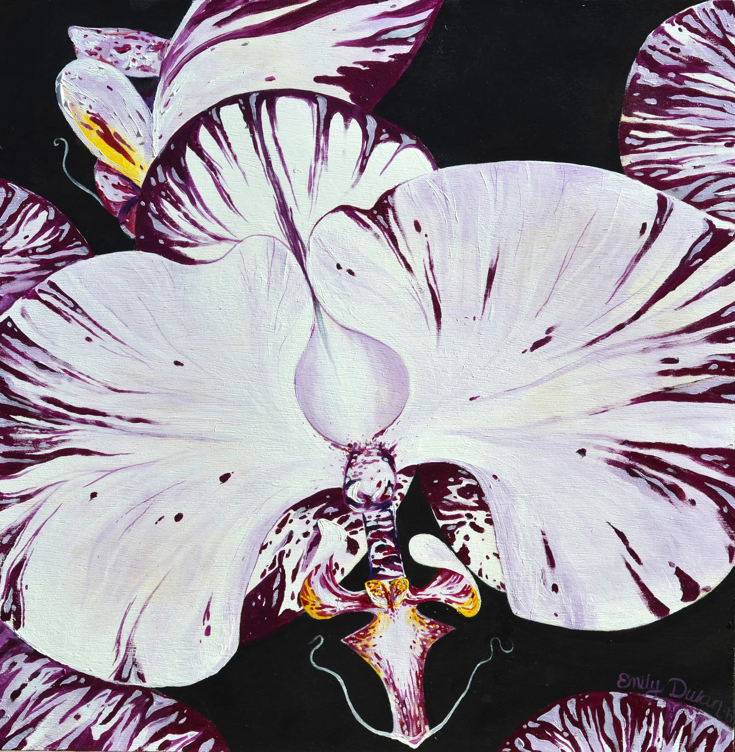 WHITE ORCHID