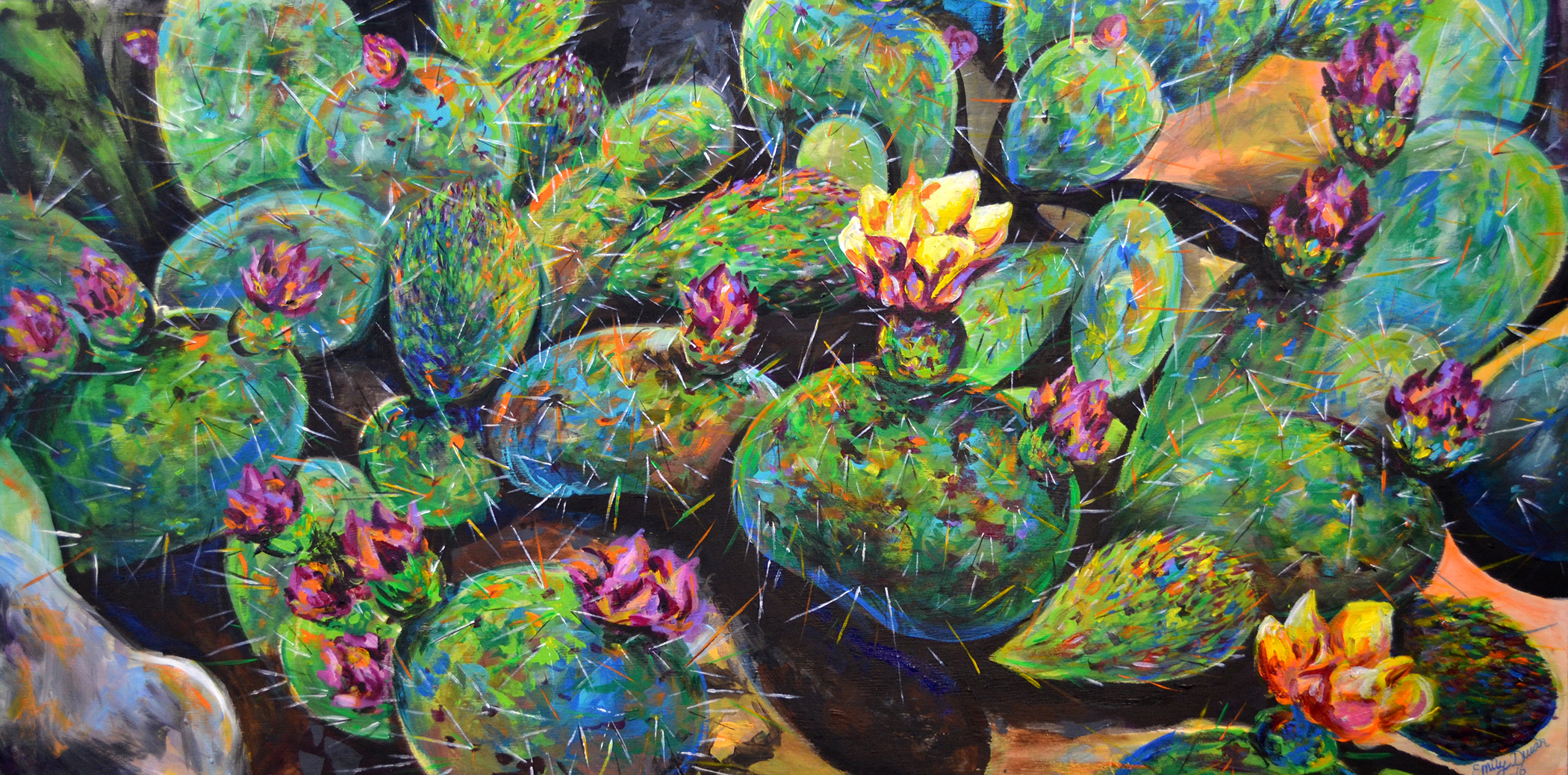 COLORADO CACTI