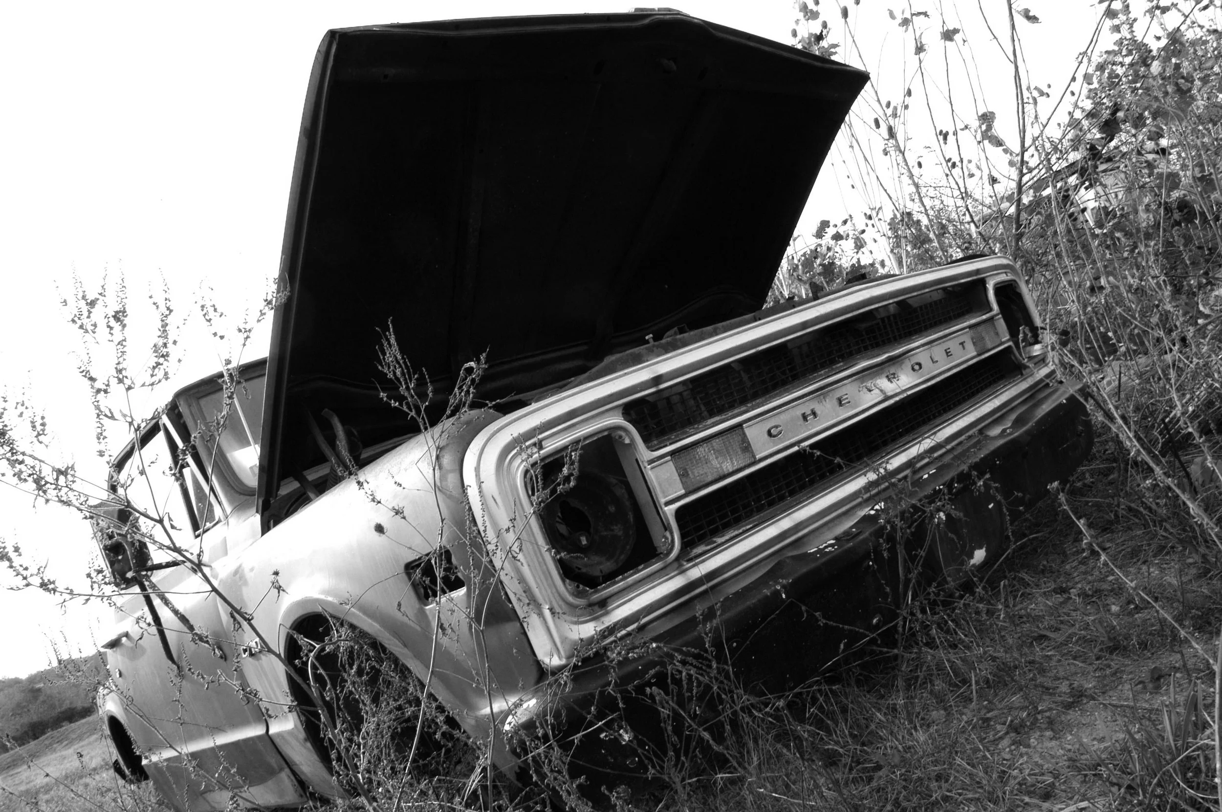 BRIDGET,SKATEBOARDS&CARS 058.JPG