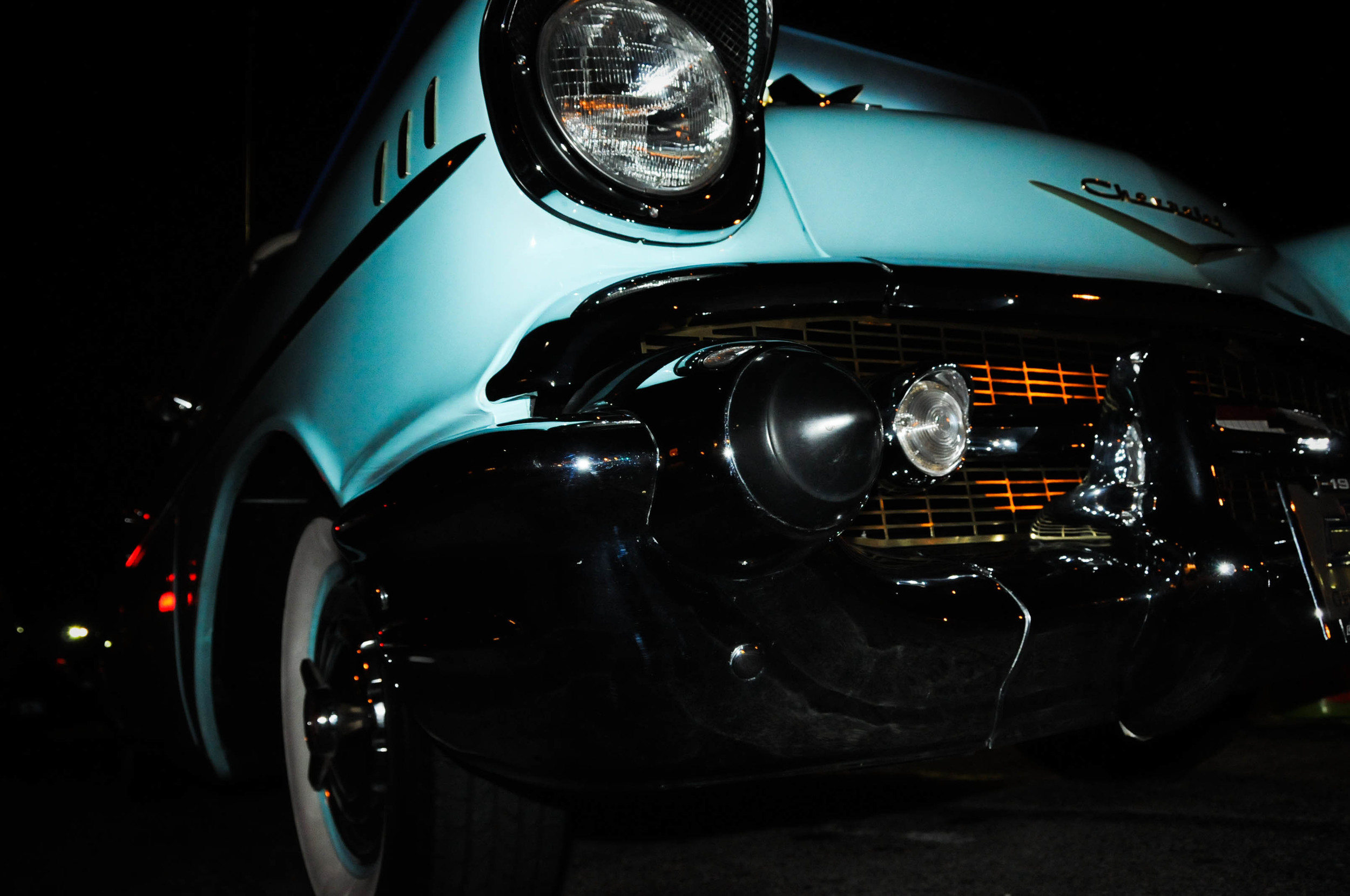 Florida Nov 2009 256.jpg