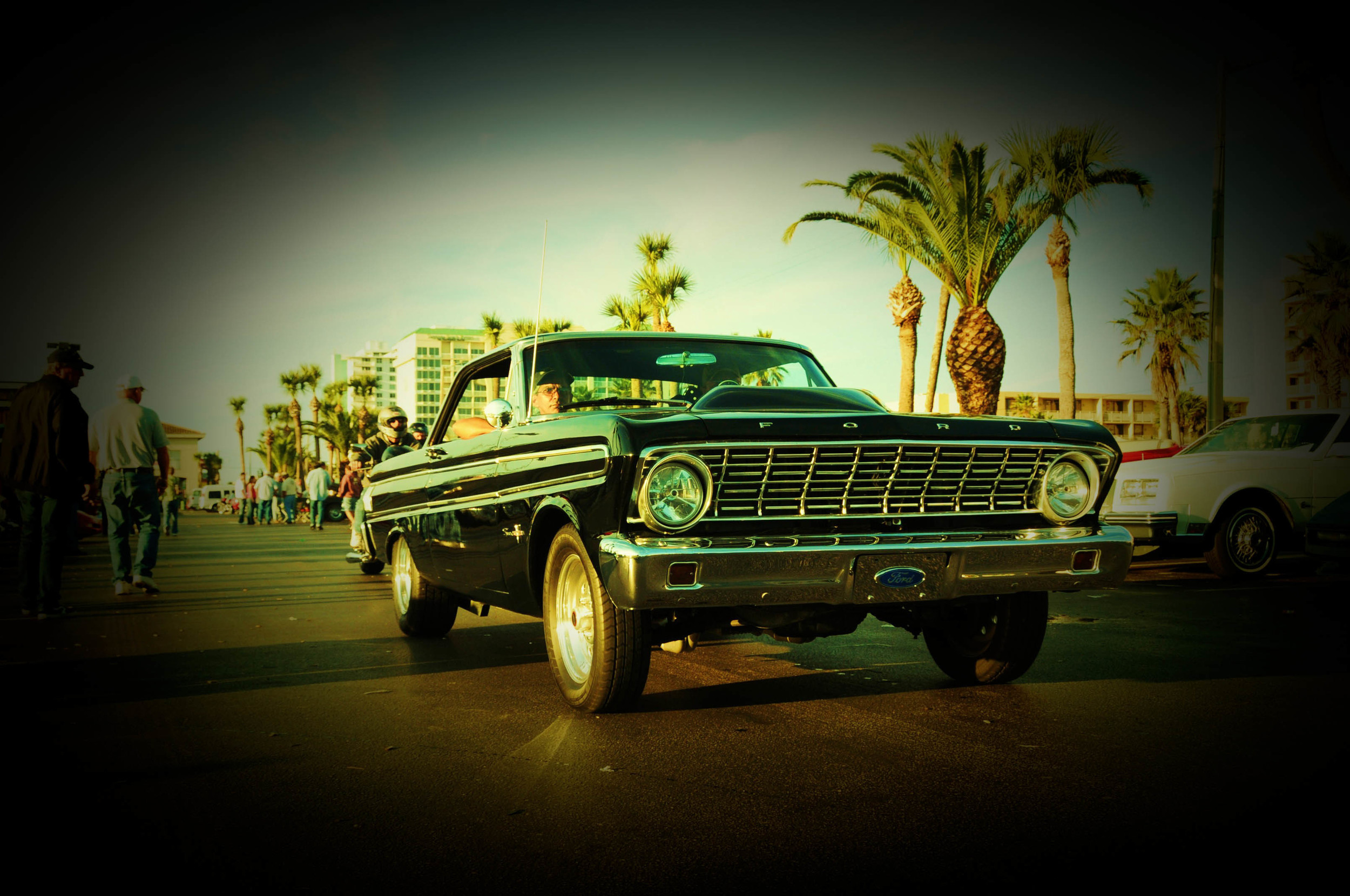 Florida Nov 2009 408.jpg