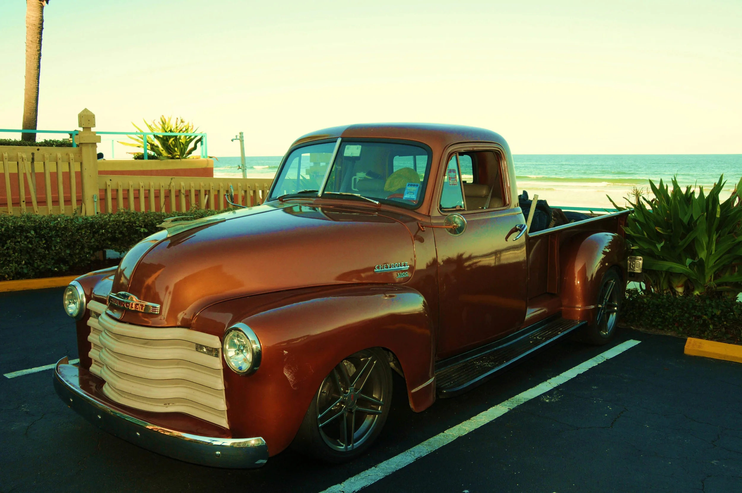 Florida Nov 2009 342.jpg