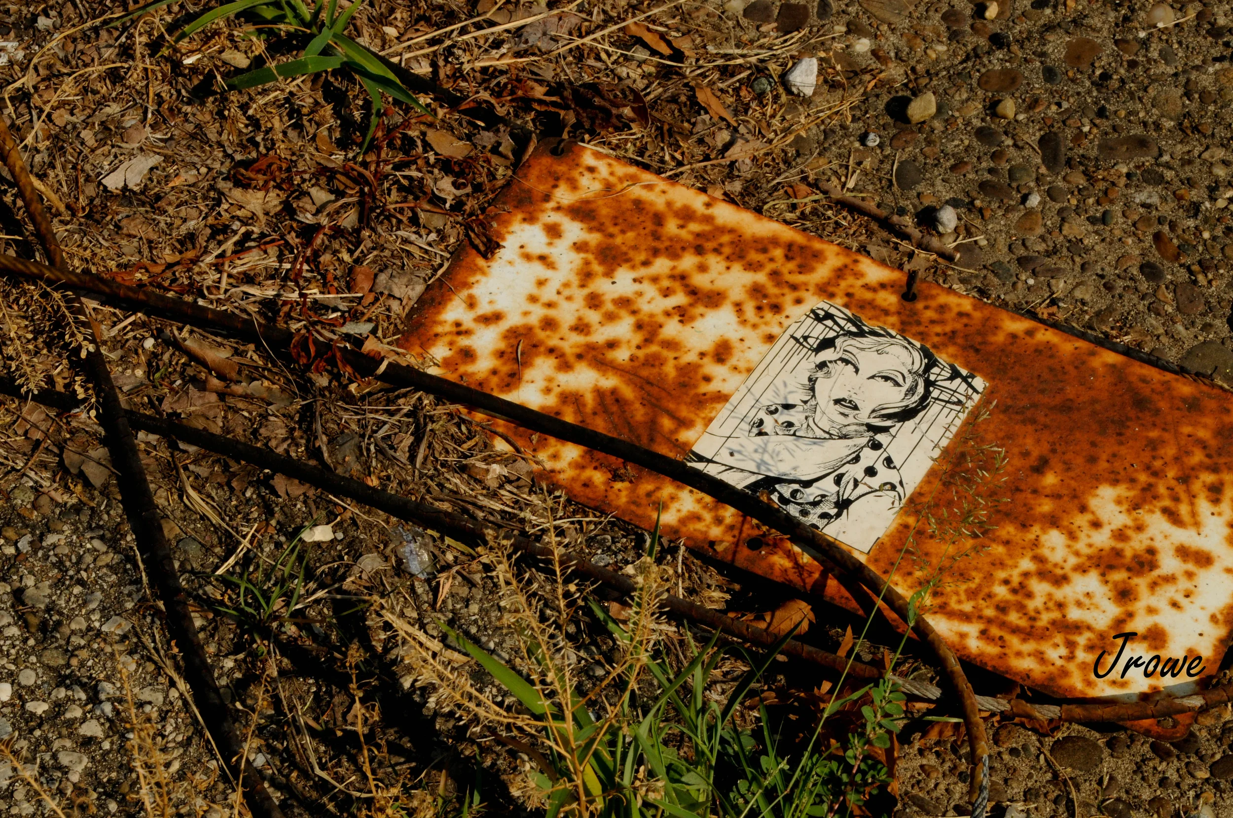 ALL ABOUT COLORS LLC (12) logo.jpg