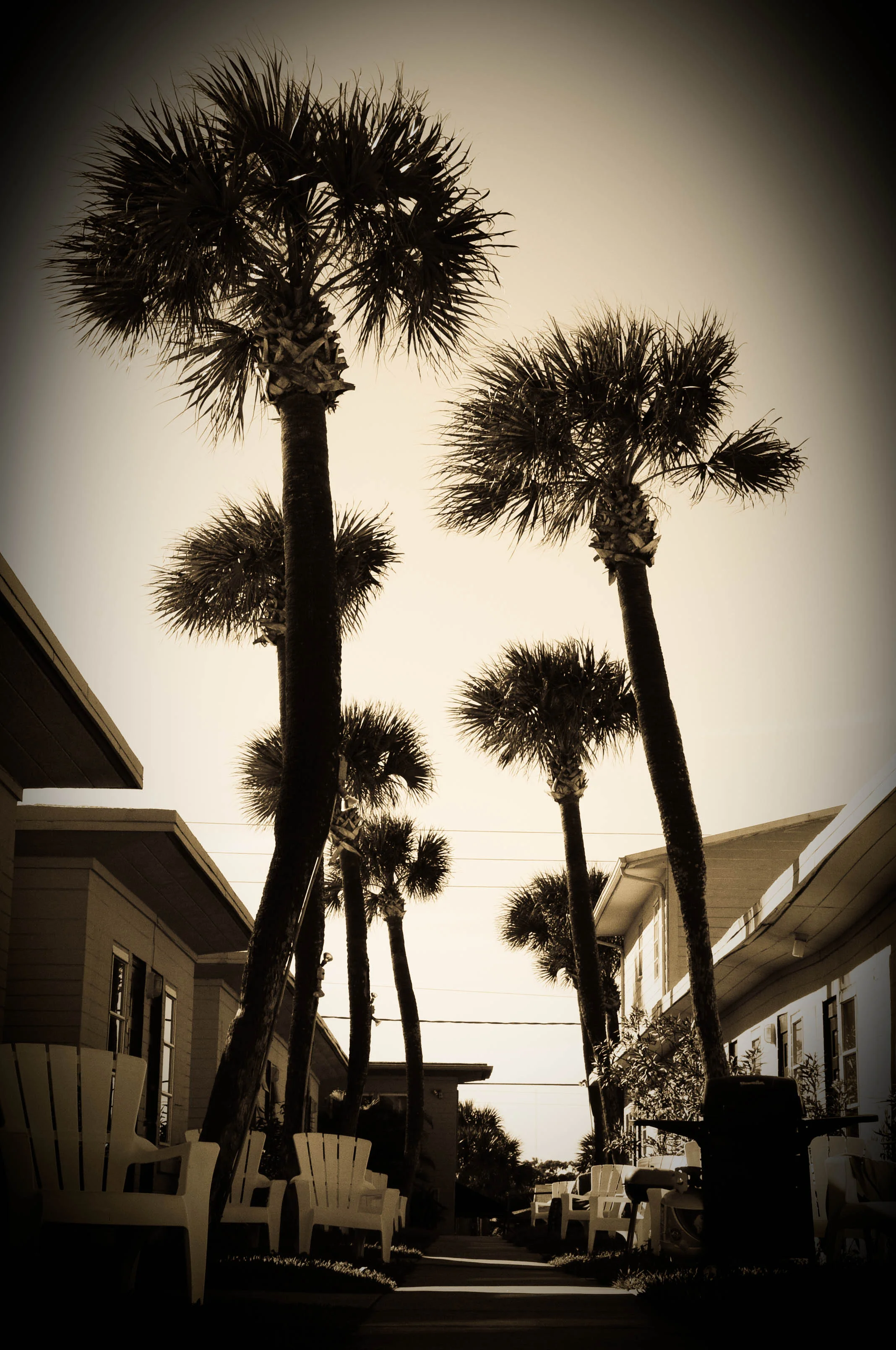 Florida Nov 2009 154.jpg