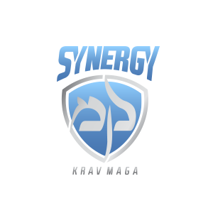 synergy_km_logo.png