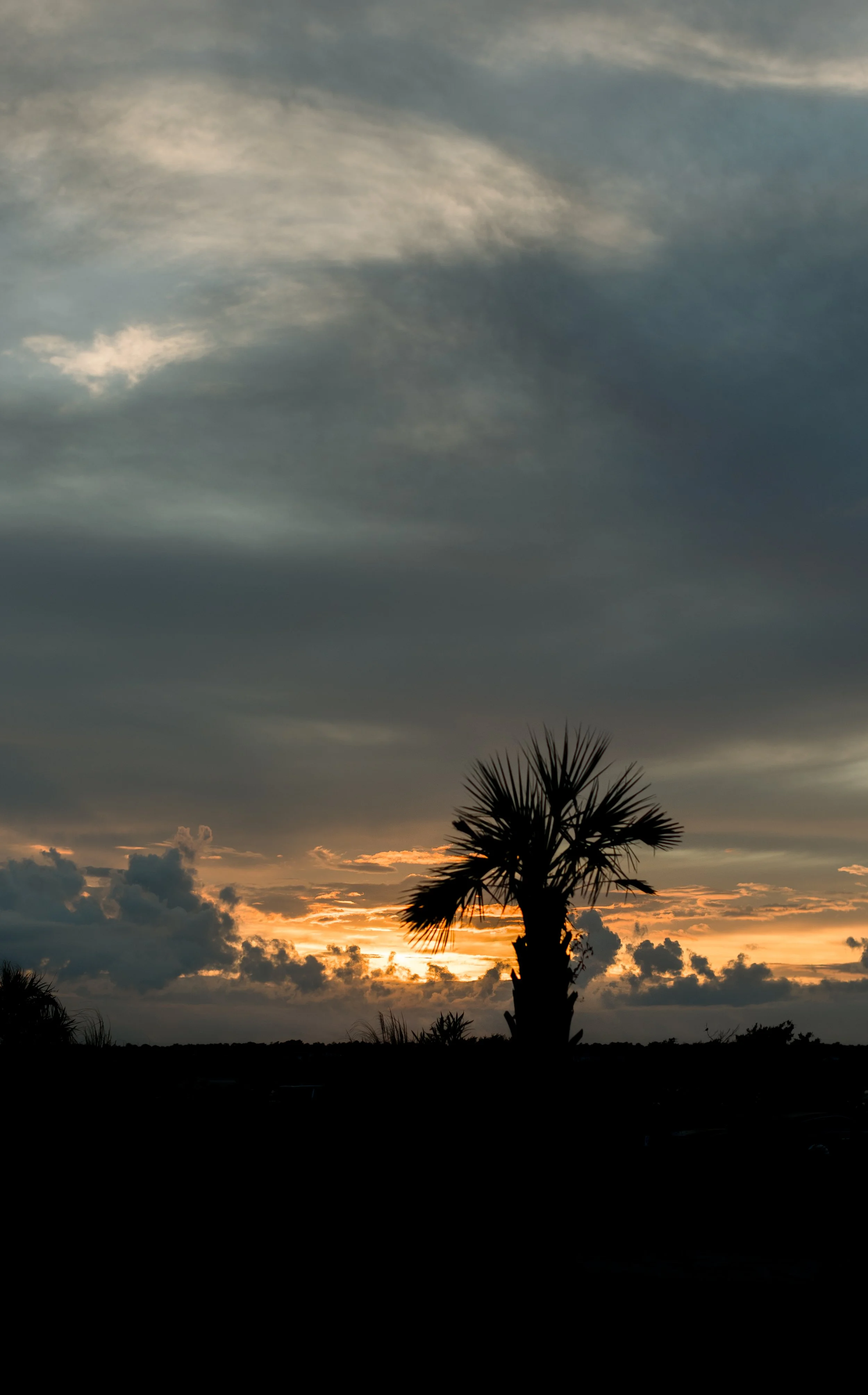 Aiken South Carolina Photographer