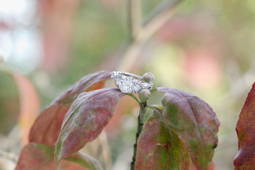 Columbia SC wedding photographer