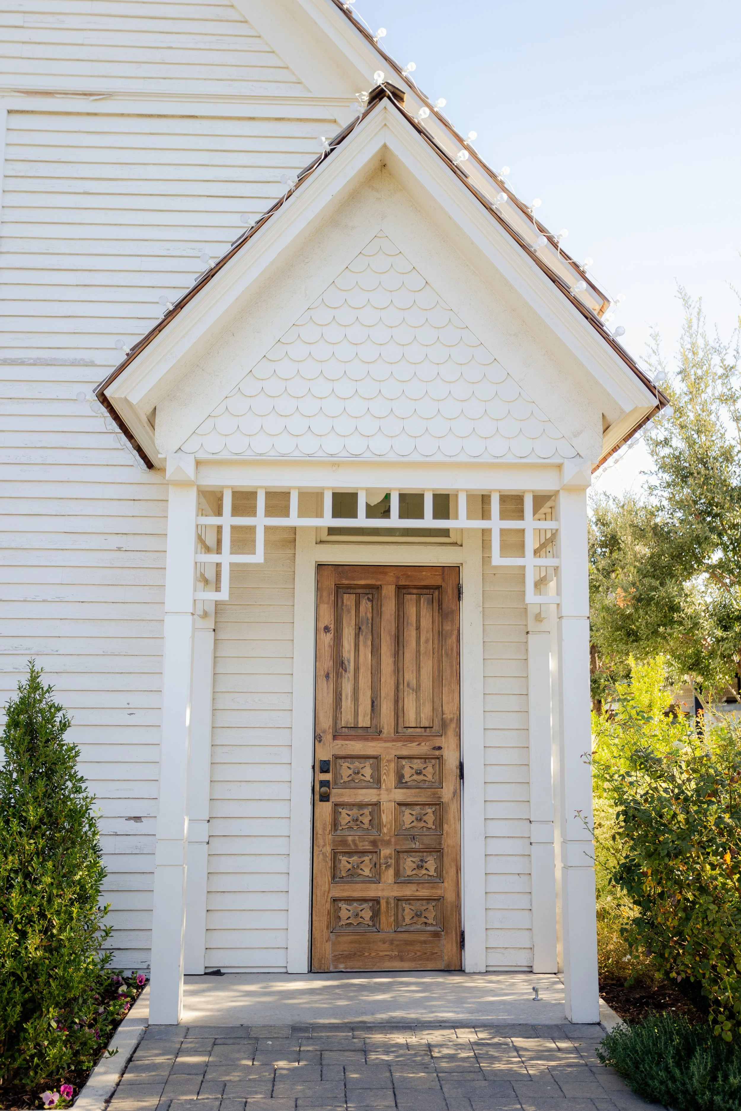 Magnolia in Waco Texas | Augusta Georgia Photographer | Aiken South Carolina Photographer 