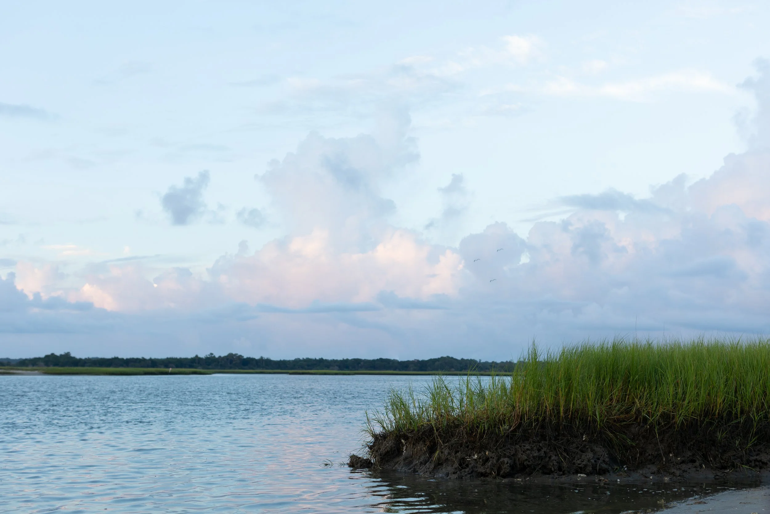 Aiken South Carolina Photographer