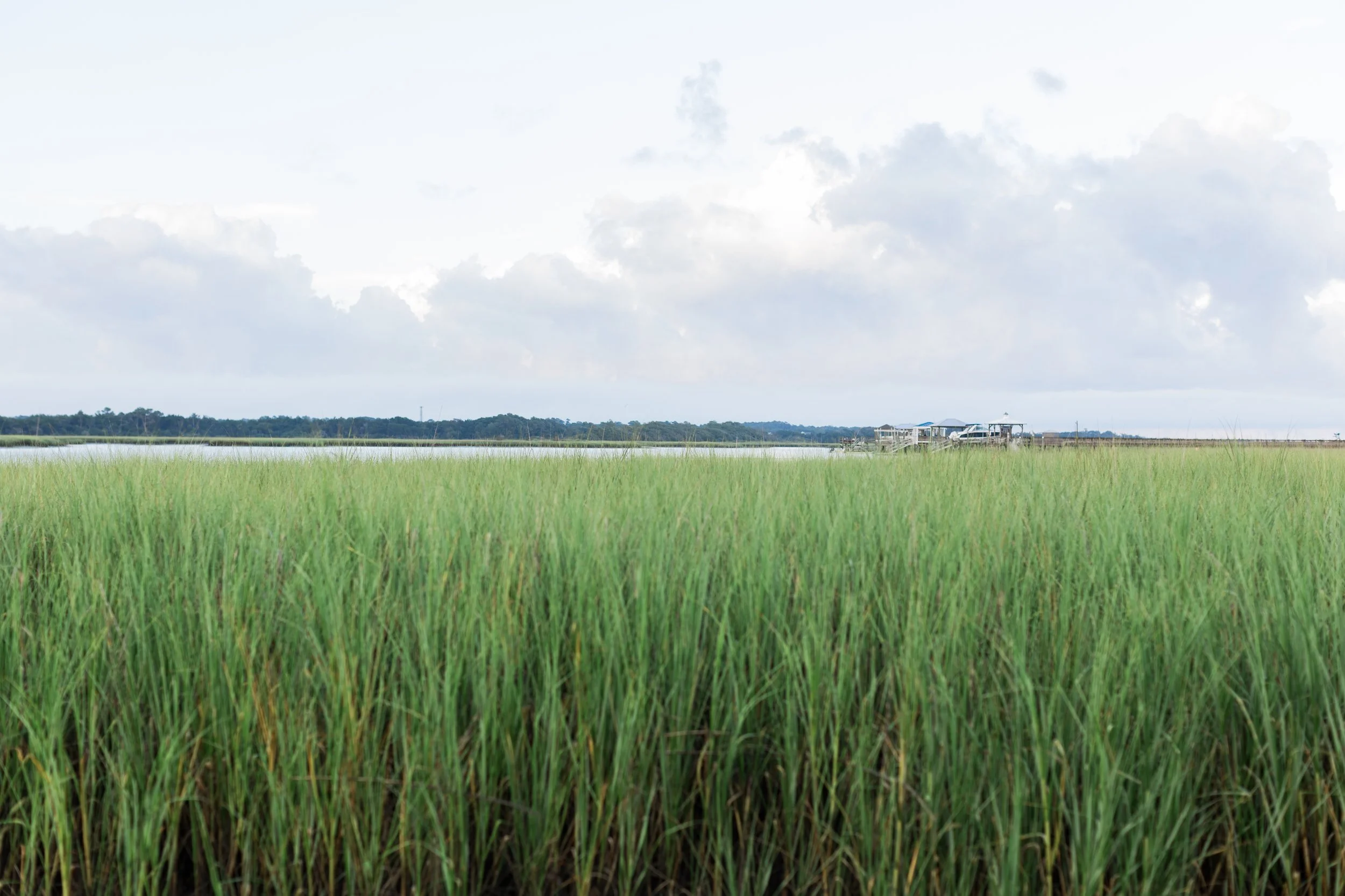 Aiken South Carolina Photographer