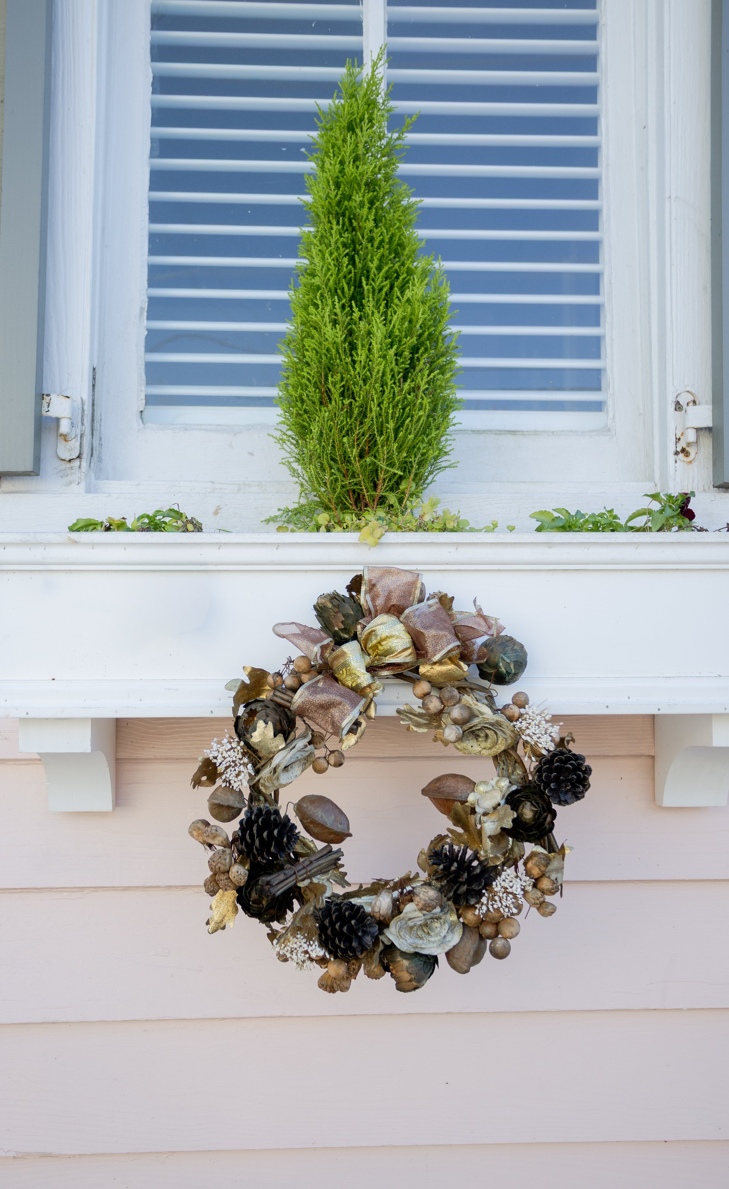 Augusta Georgia wedding photographer