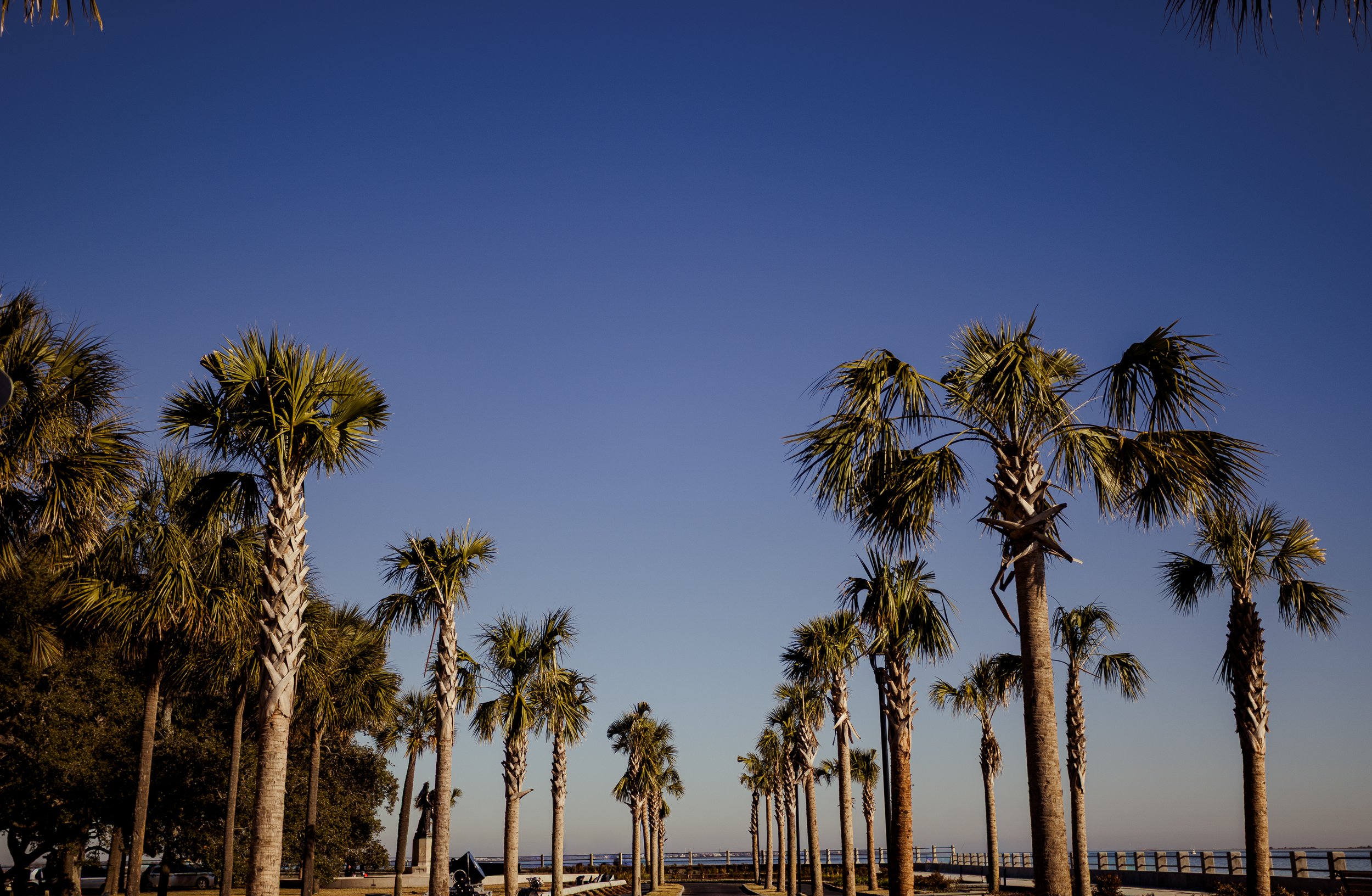 Augusta Georgia wedding photographer