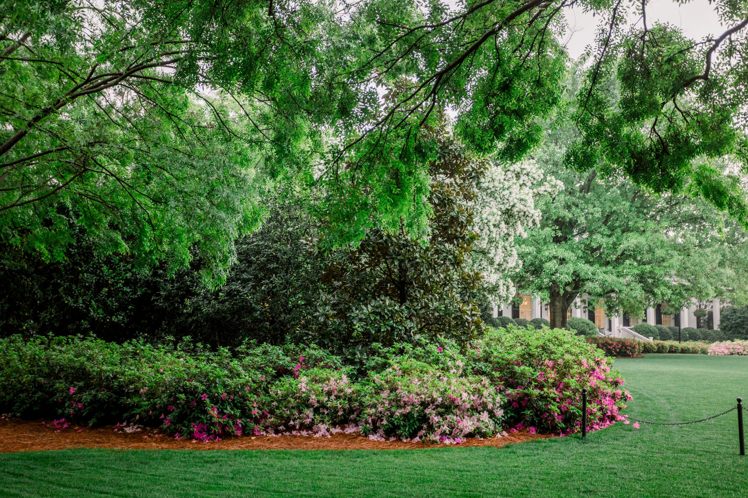 Evans Georgia photographer