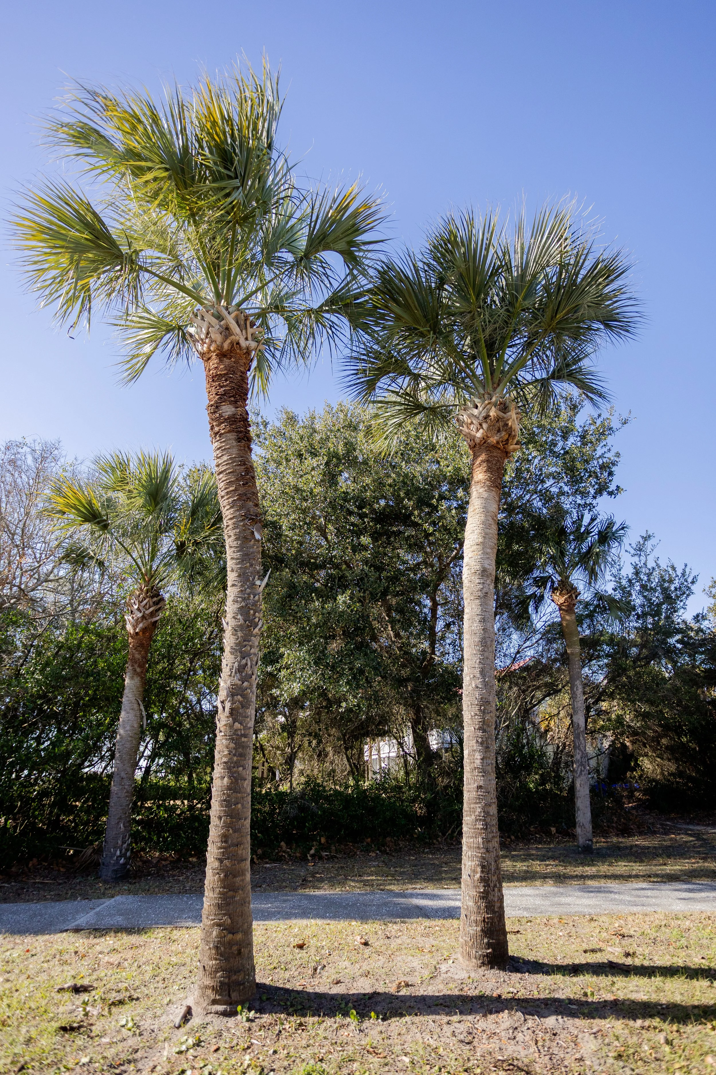 Evans Georgia photographer