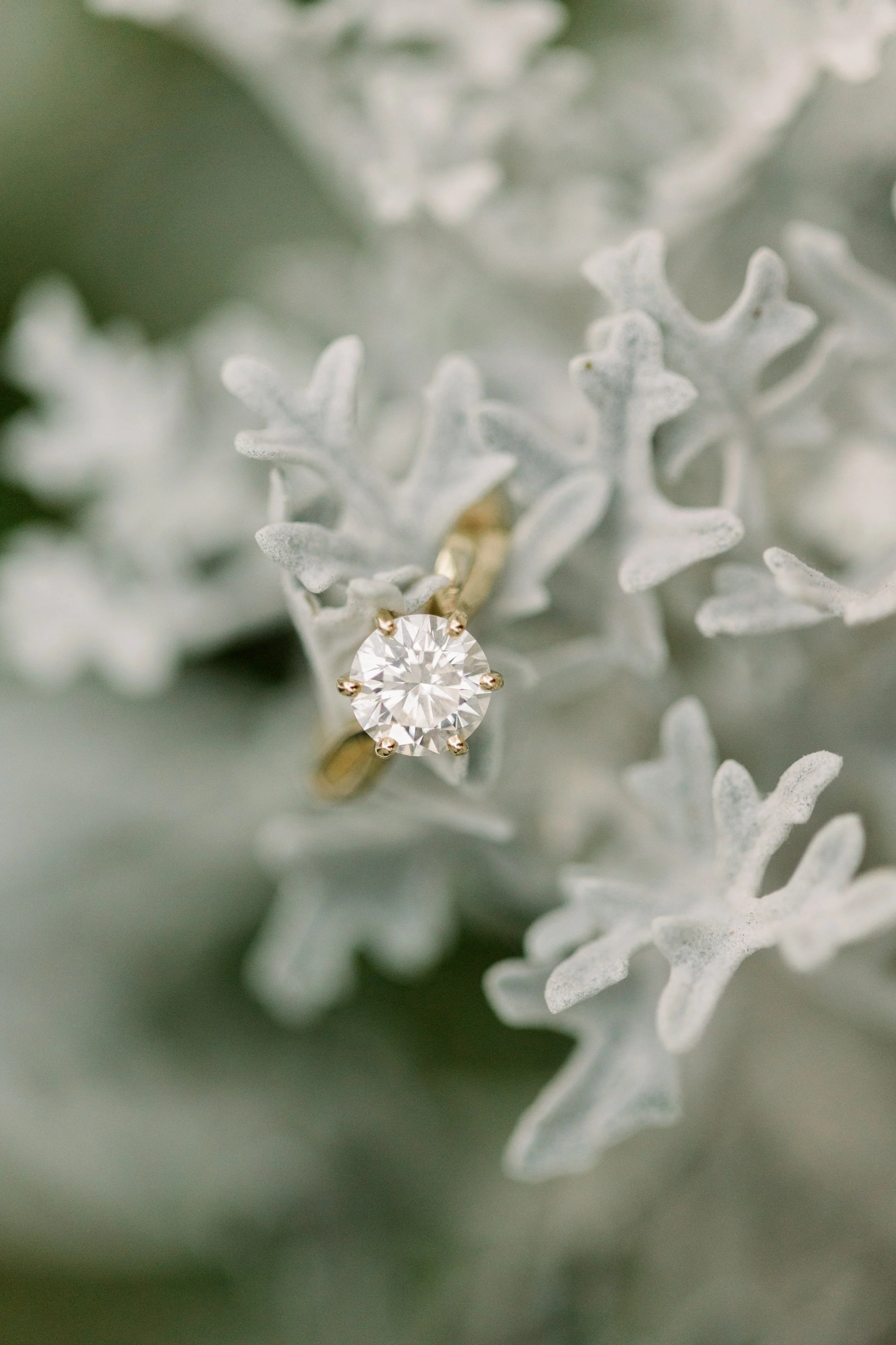 Aiken South Carolina wedding photographer