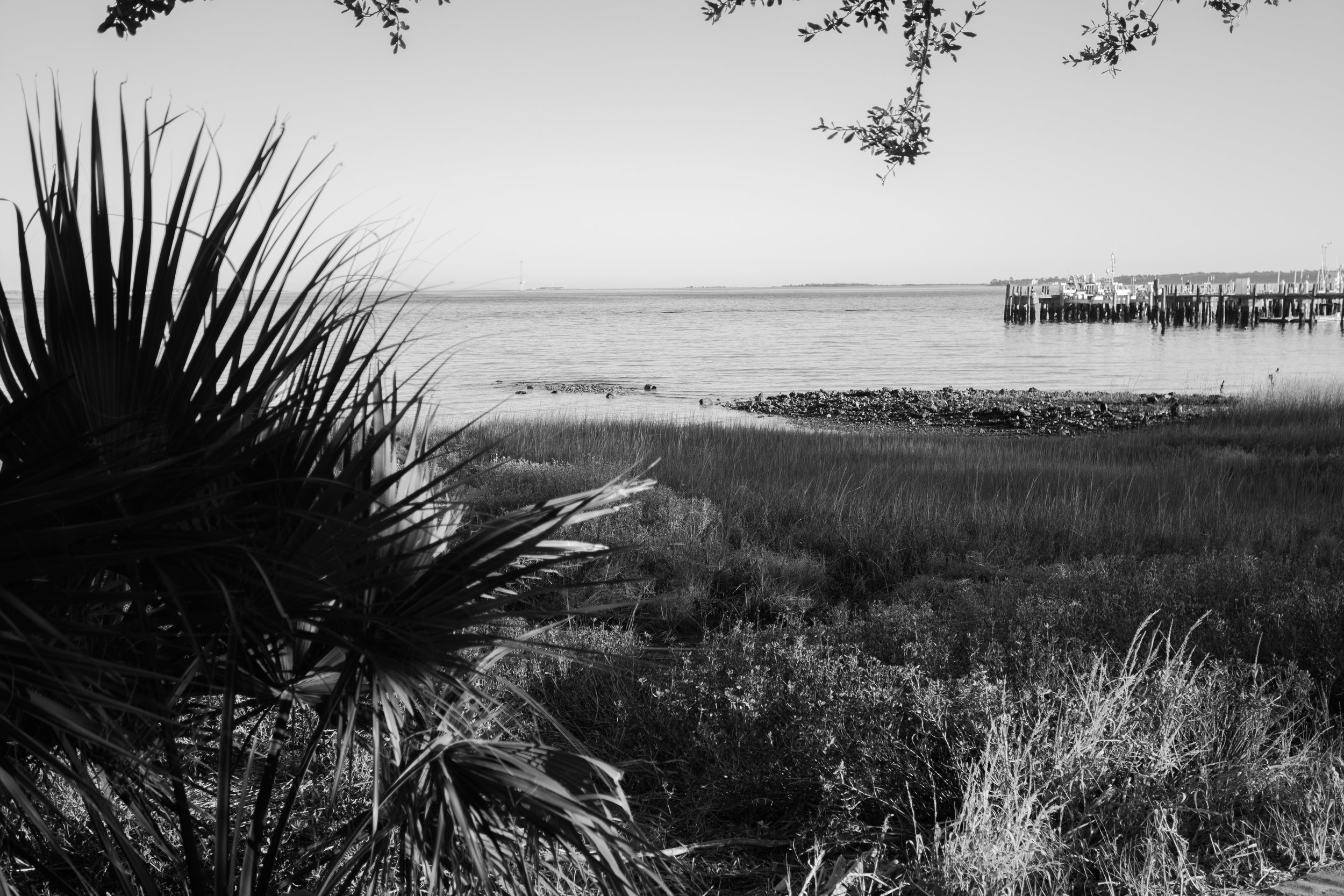 Augusta Georgia wedding photographer