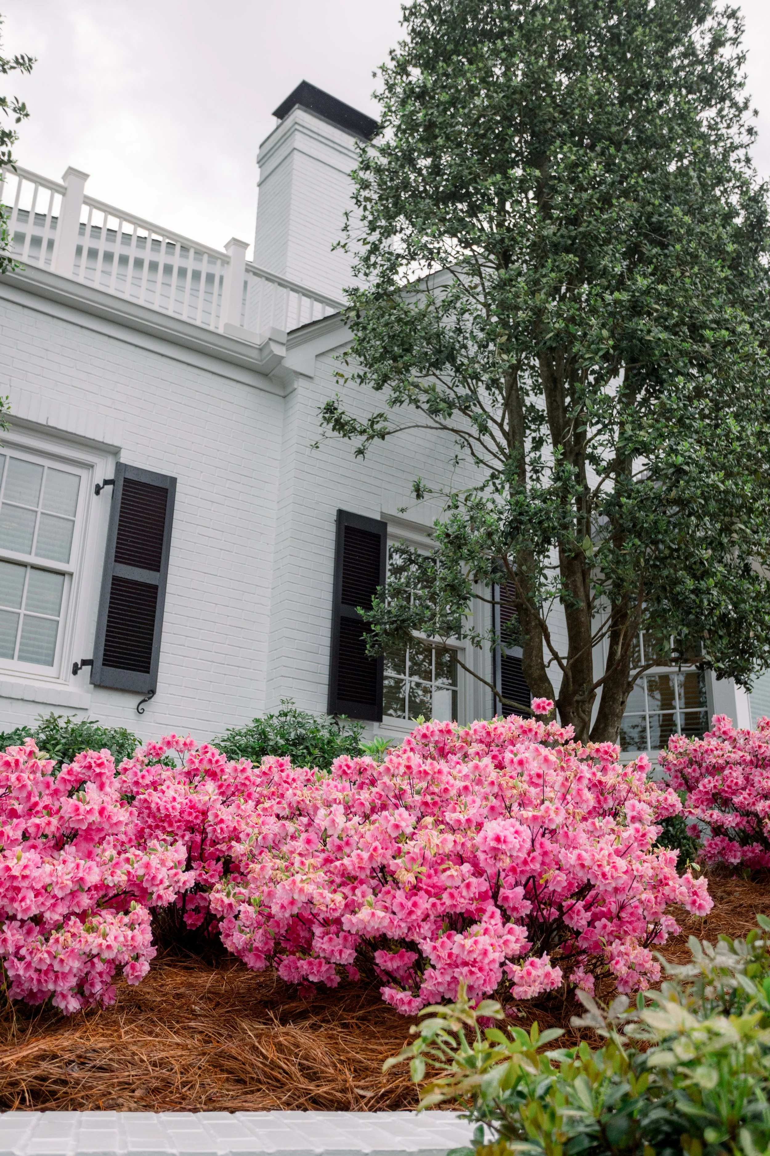 Augusta Georgia photographer