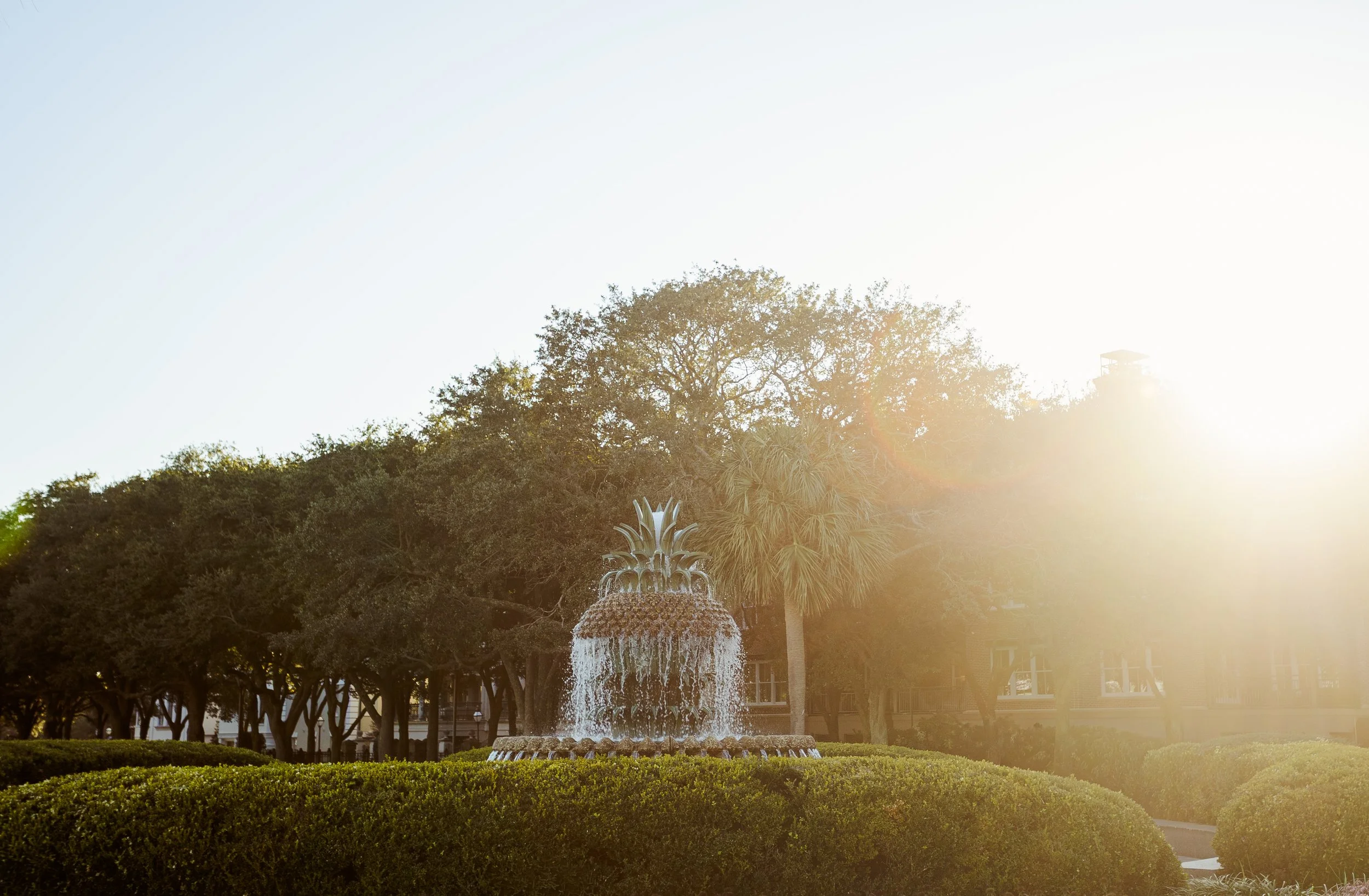 Charleston wedding photographer