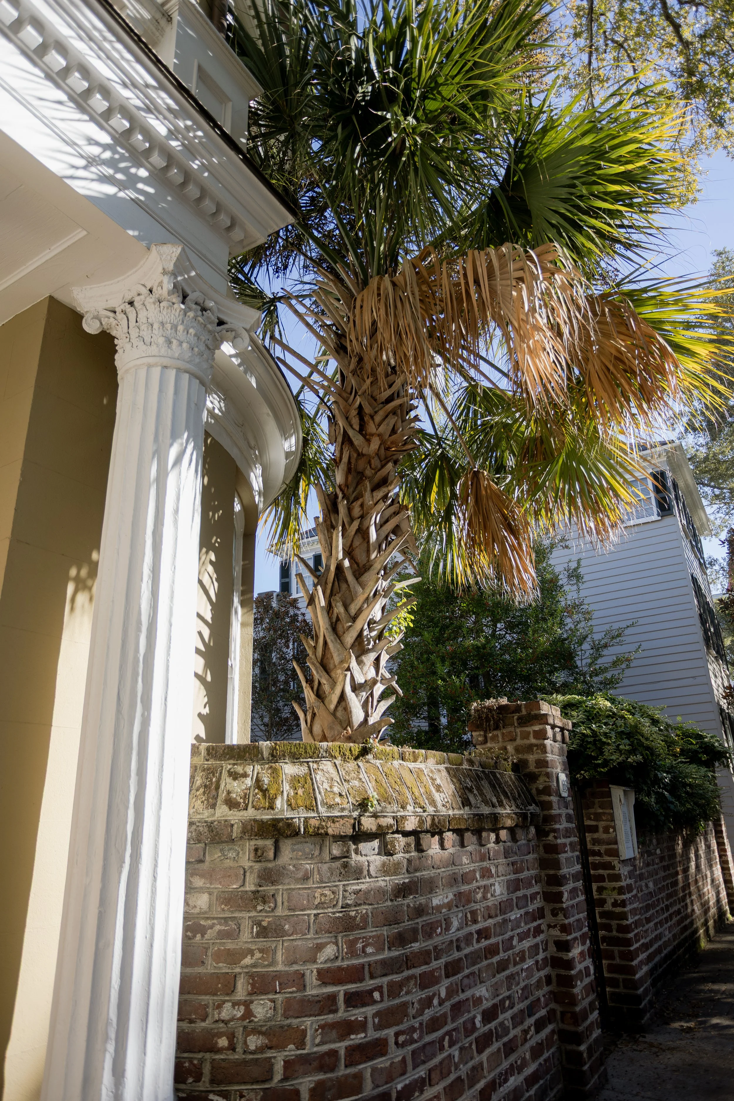 Aiken South Carolina wedding photographer