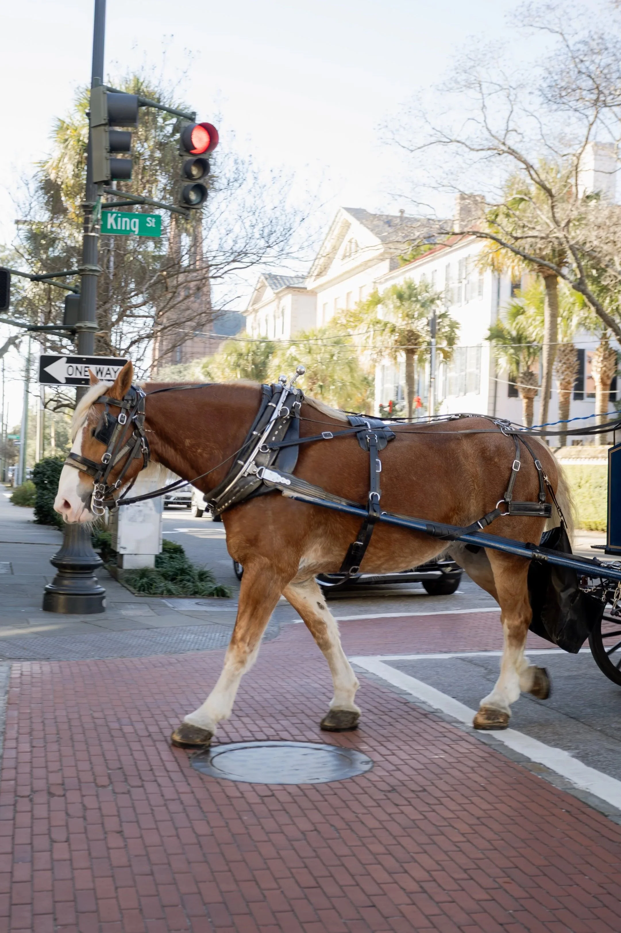 Augusta Georgia wedding photographer