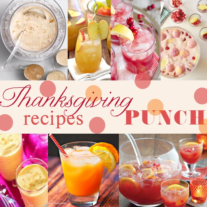 thanksgiving punch recipes.jpg