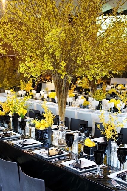 forsythia reception.jpg