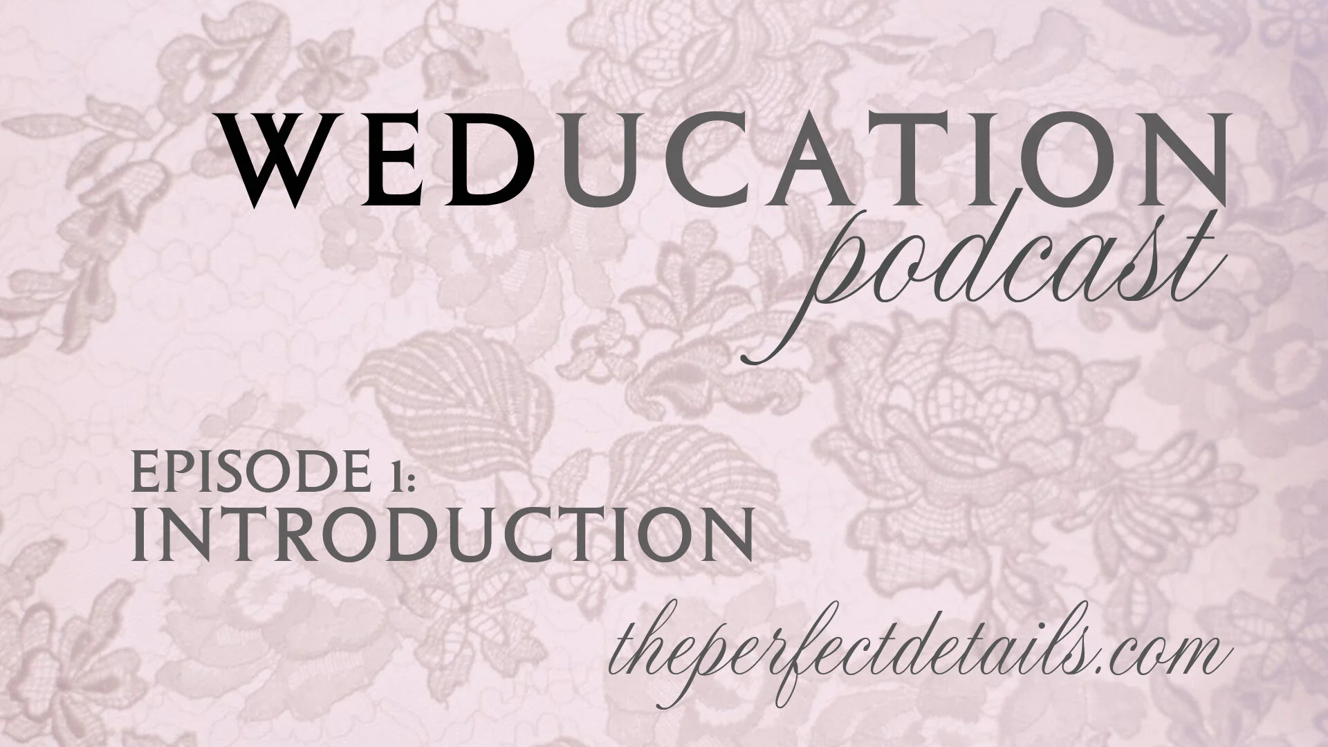 weducation episode 1.jpg