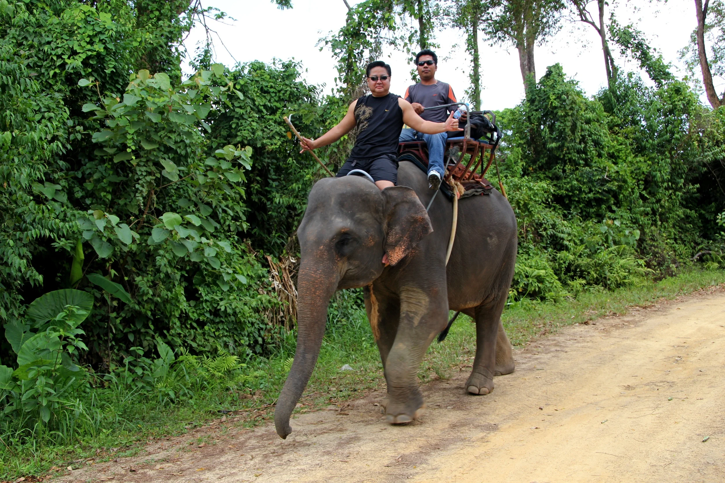 Elephant Driver