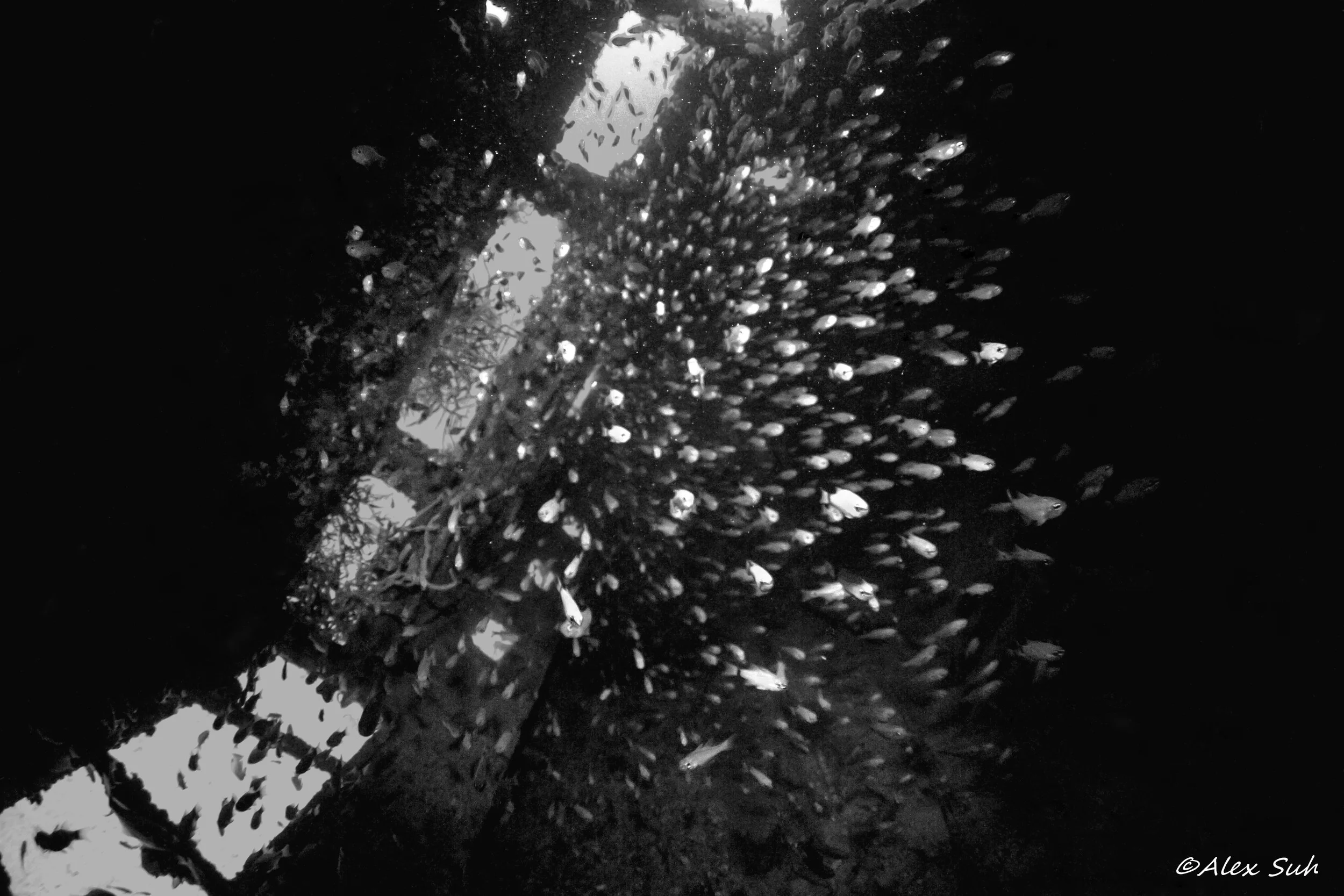BW Photo Inside A Cabin of A Wreck
