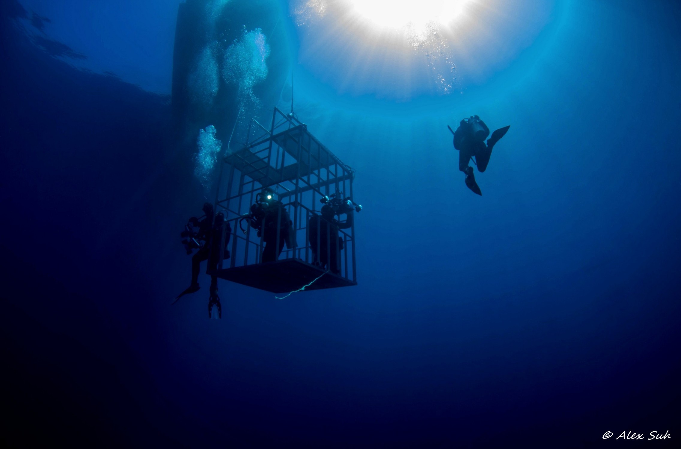 Submersable Shark Cage Upward View.jpg