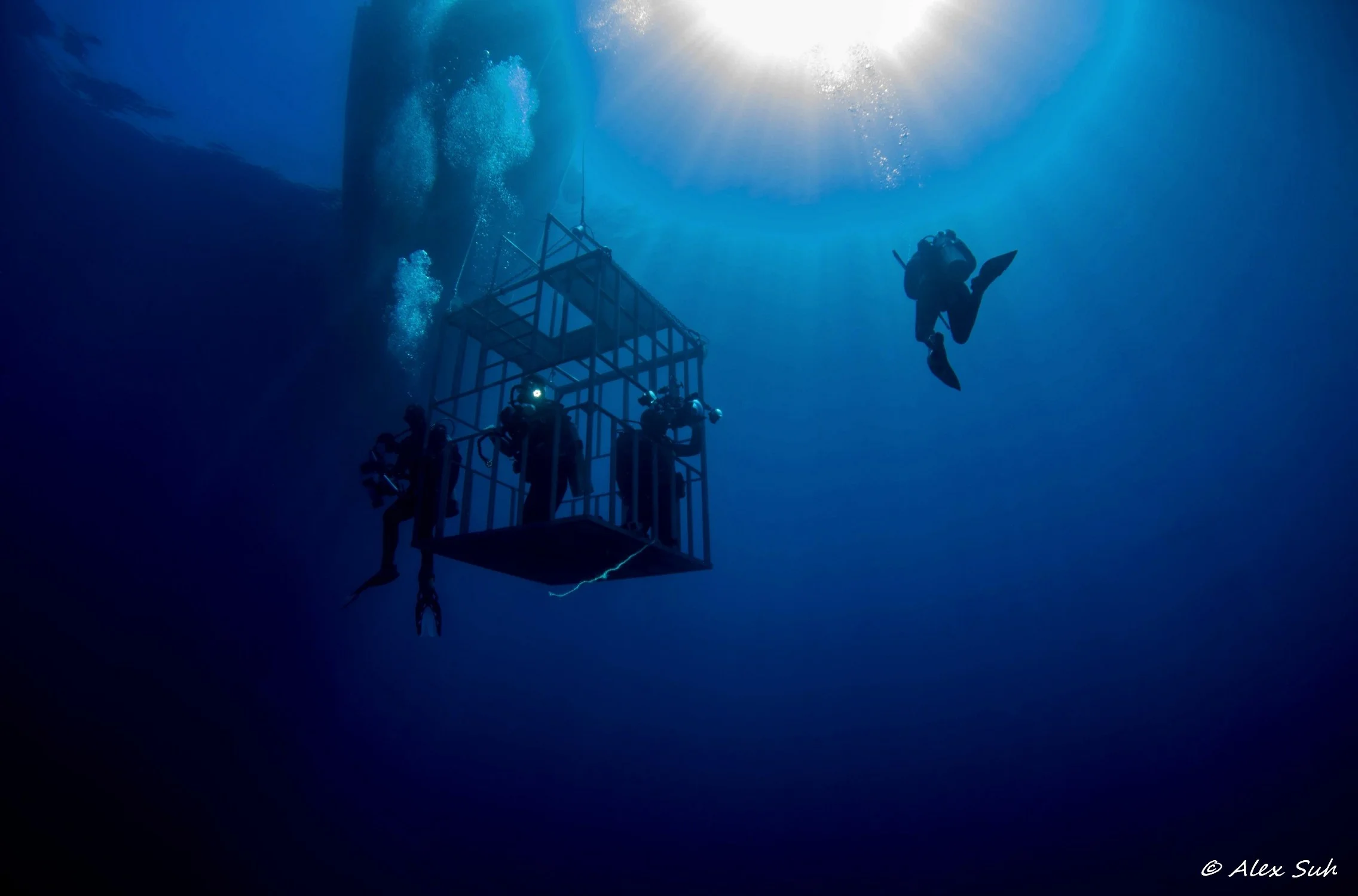 Submersable Shark Cage Upward View.jpg