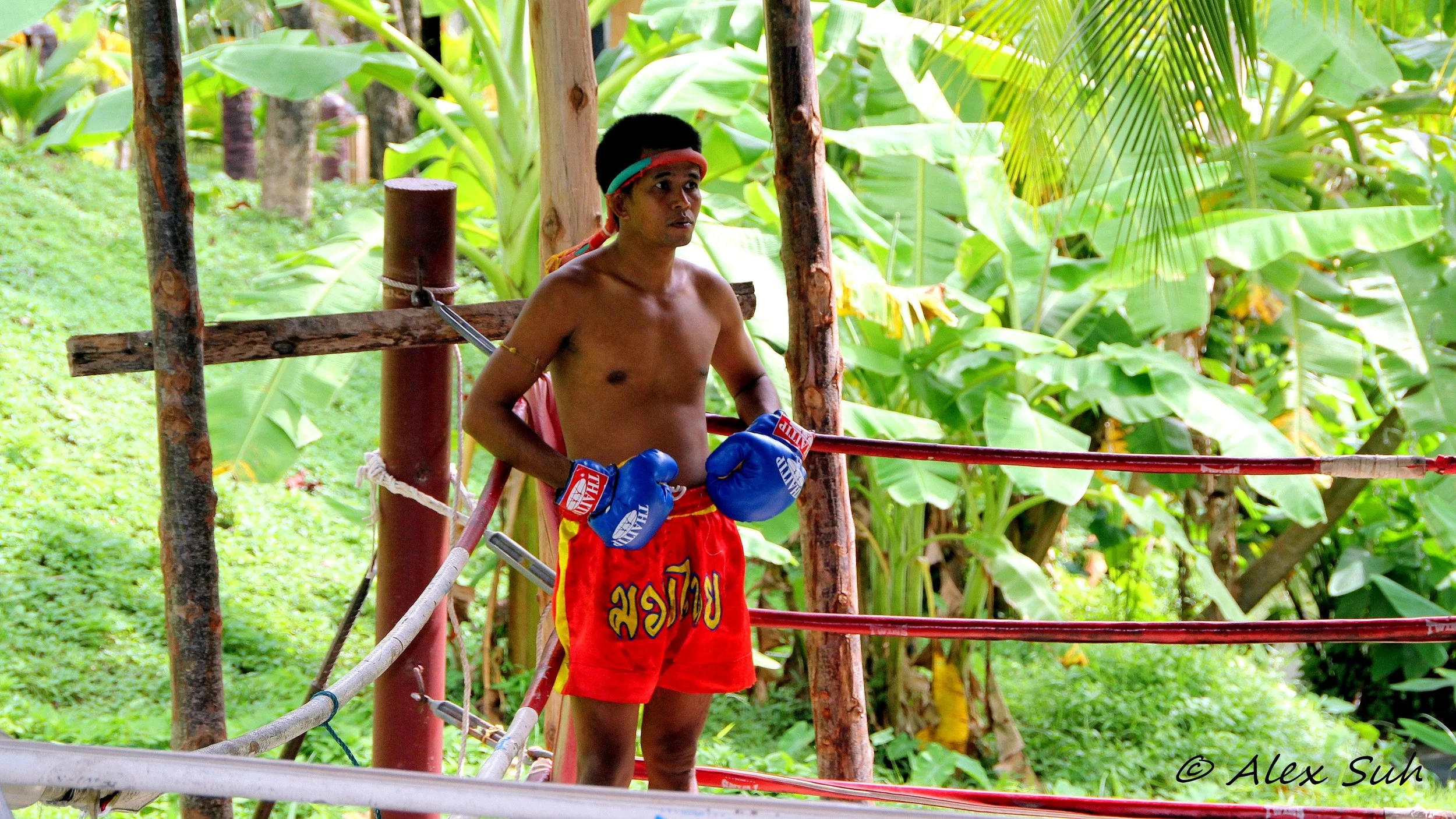 Muay Thai Boxing