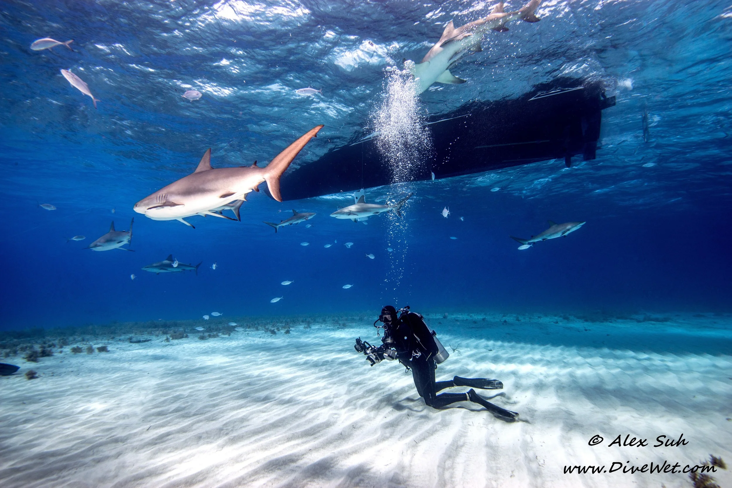 Amanda Cotton Below The Boat