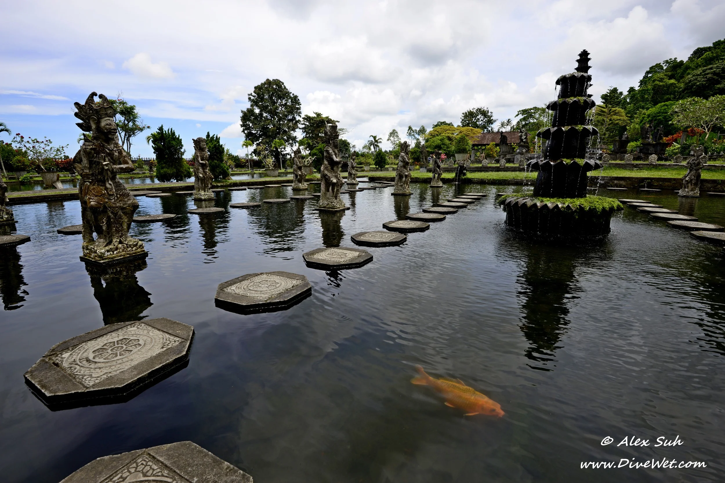 Bali Water Park Reflections Koi.jpg