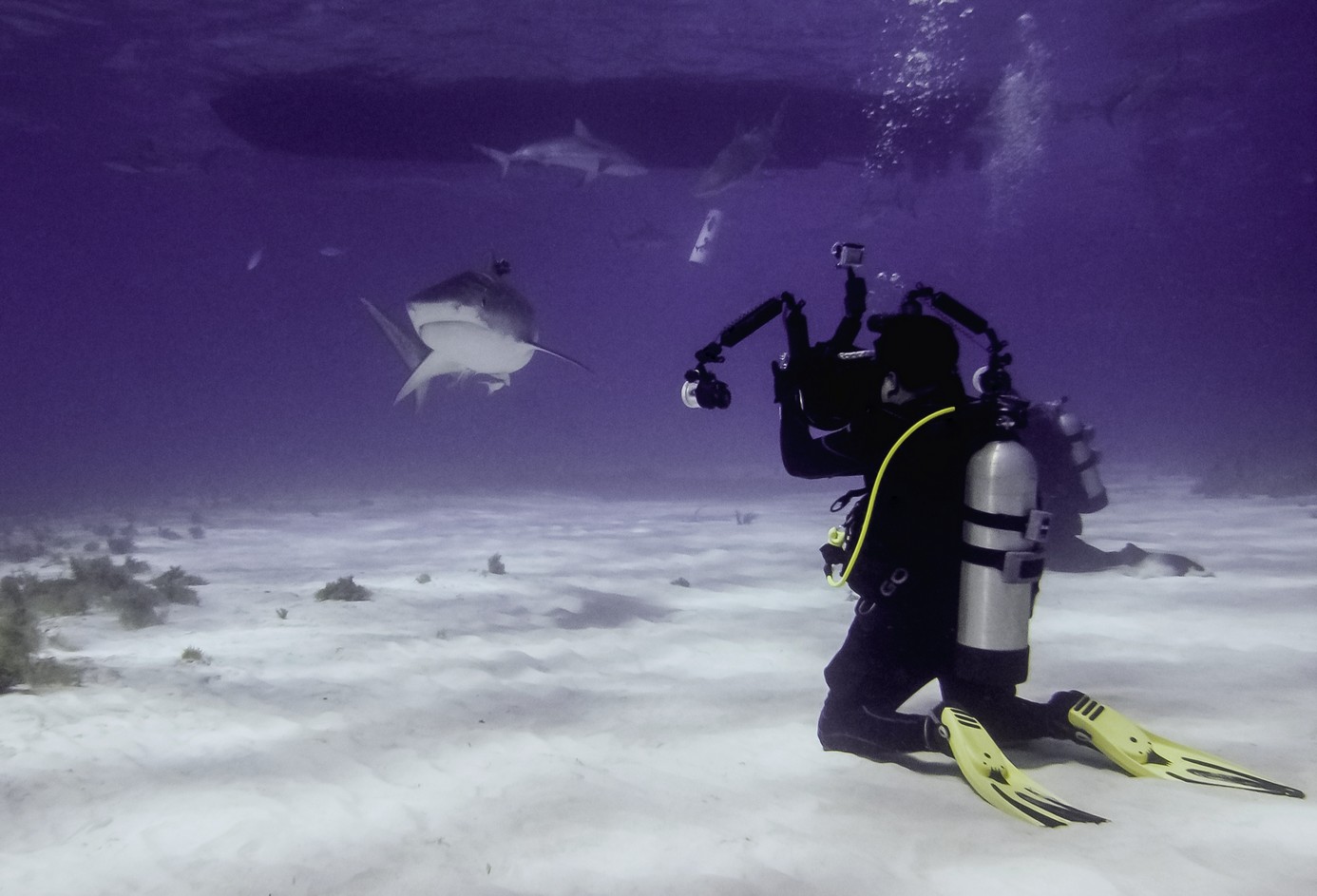 Here I am with yellow fins but did not get attacked or bothered from behind .