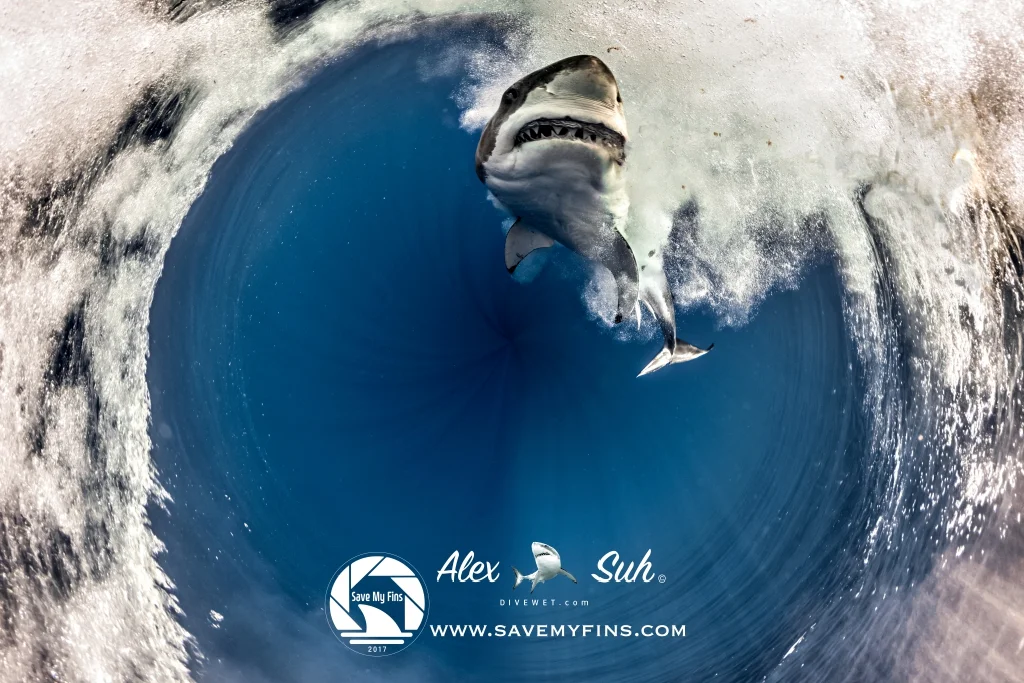MARKED GWS Tiny Planet Breaching Series-18 72dpi .jpg