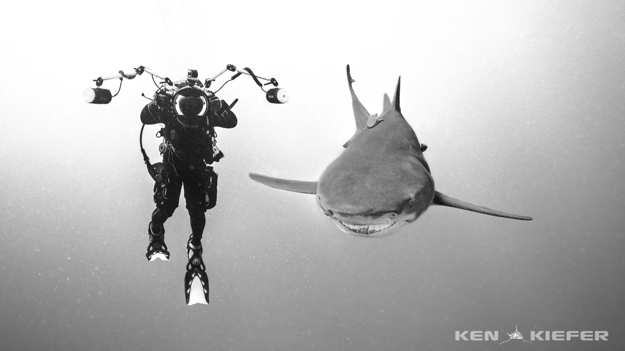Alex photographing Lemon Shark