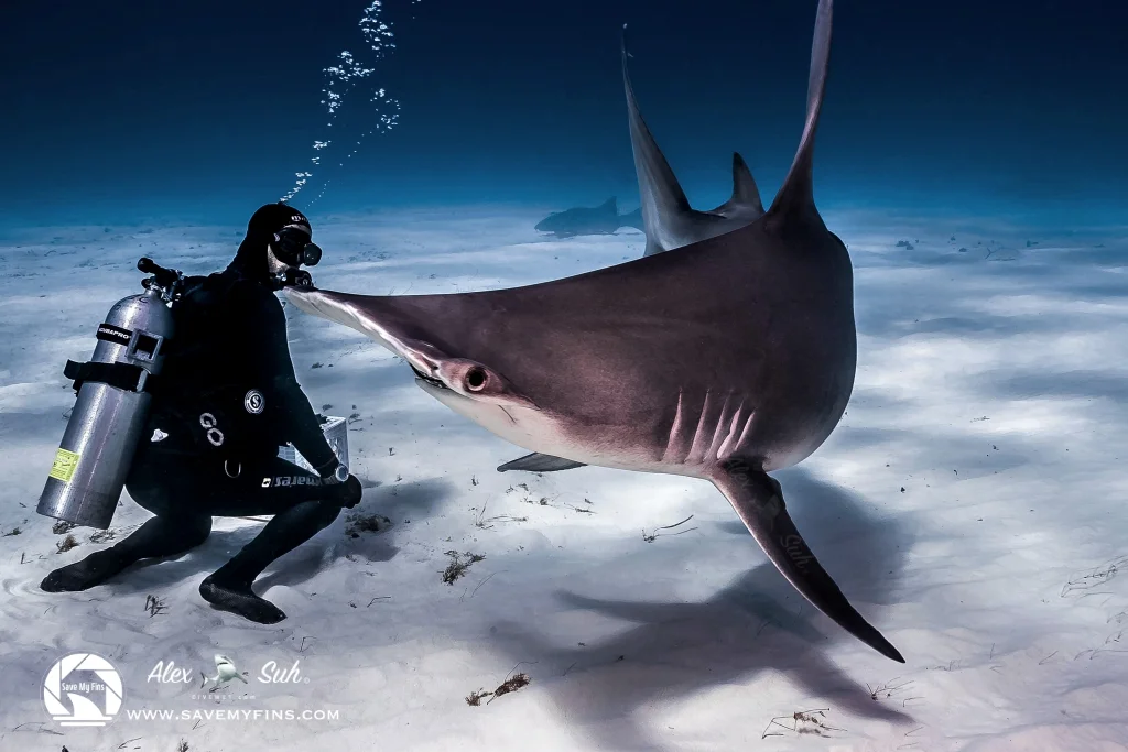 MARKED Vin Hammer Twisted .jpeg