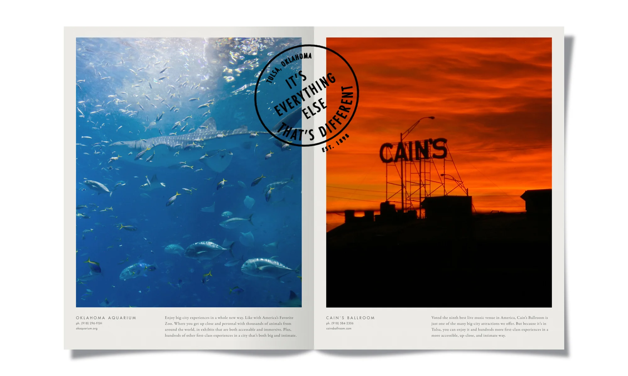 Brochure
