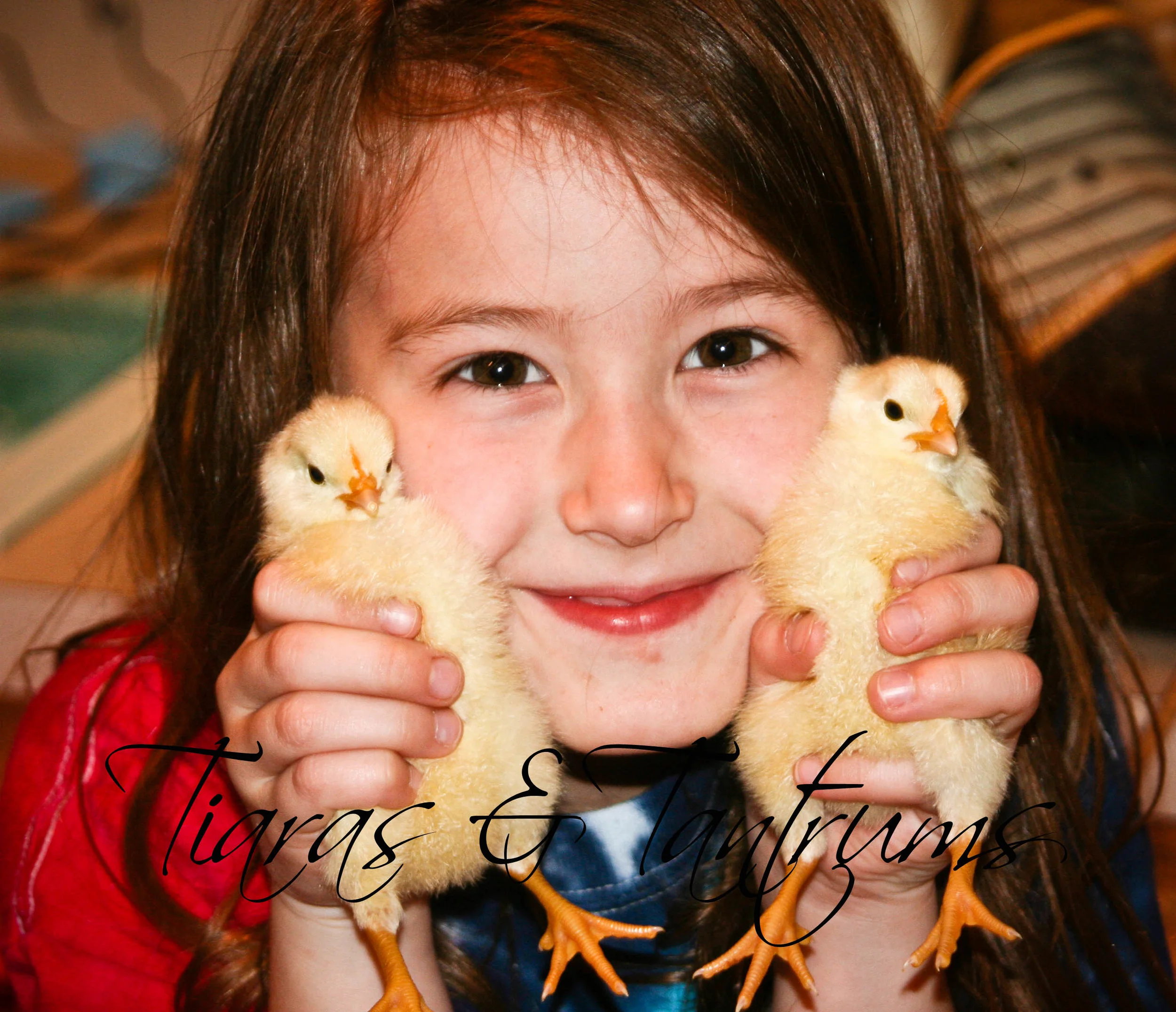 chicks (9 of 1).jpg