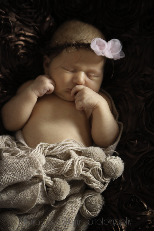 newbornbuse-48.jpg