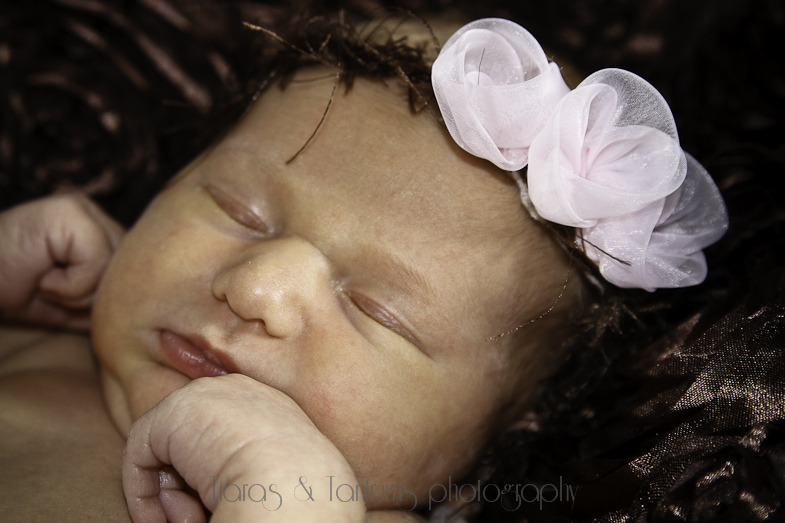 newbornbuse-47.jpg