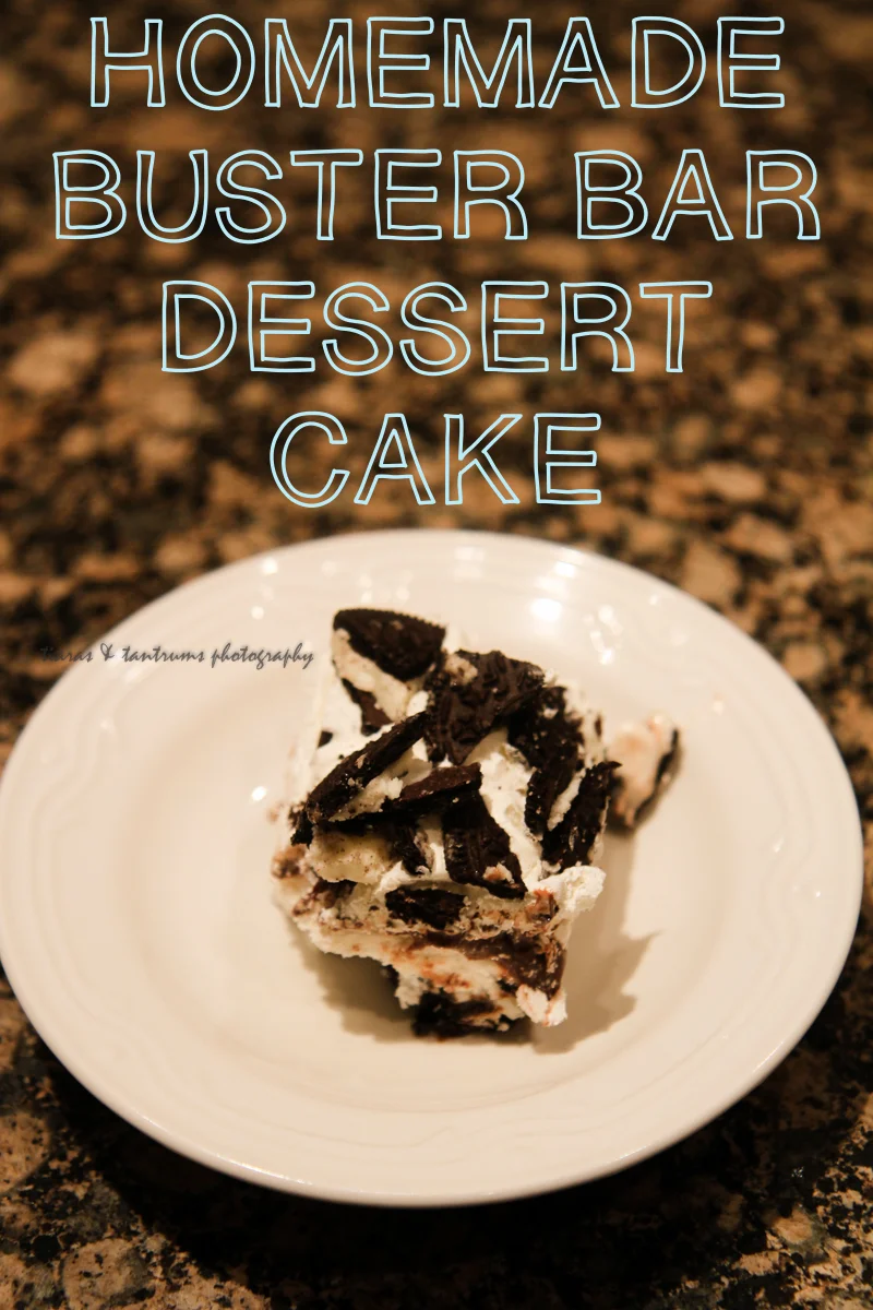 Homemade DQ Buster Bar Dessert Cake {Recipe} — Tiaras & Tantrums